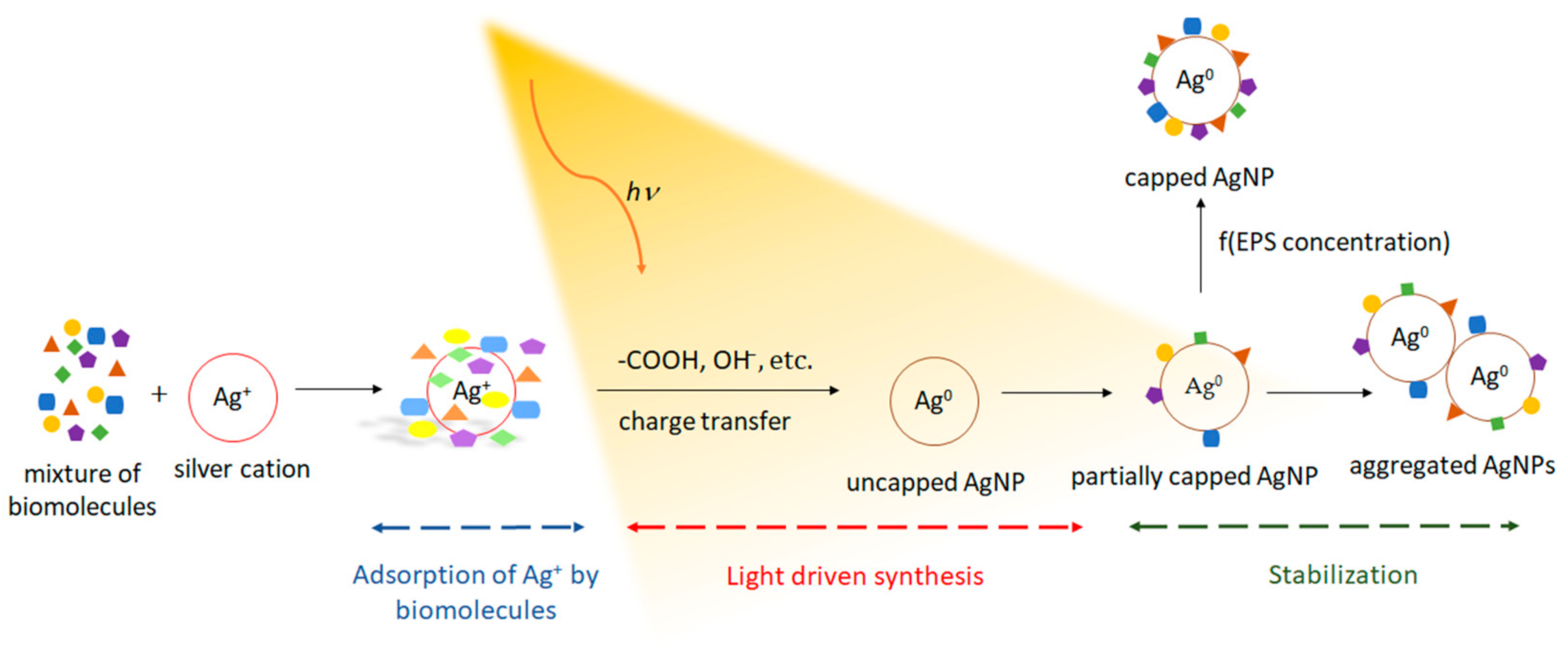 Molecules 26 04585 g007