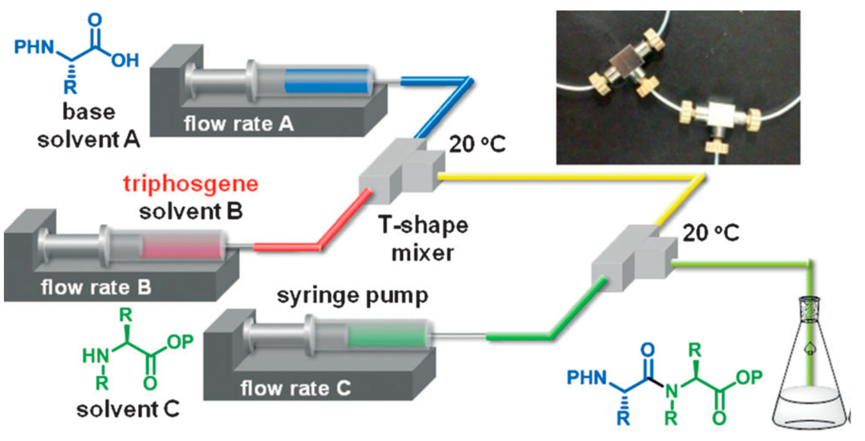 Molecules 26 04587 g001