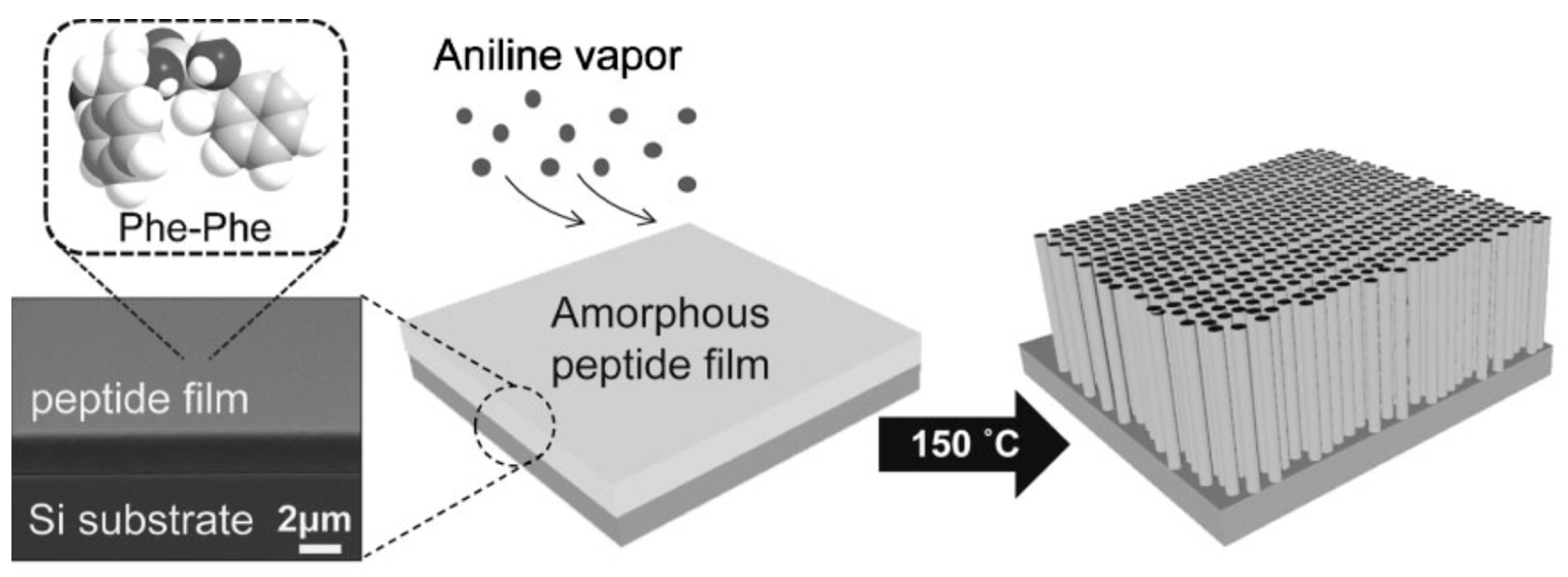 Molecules 26 04587 g002