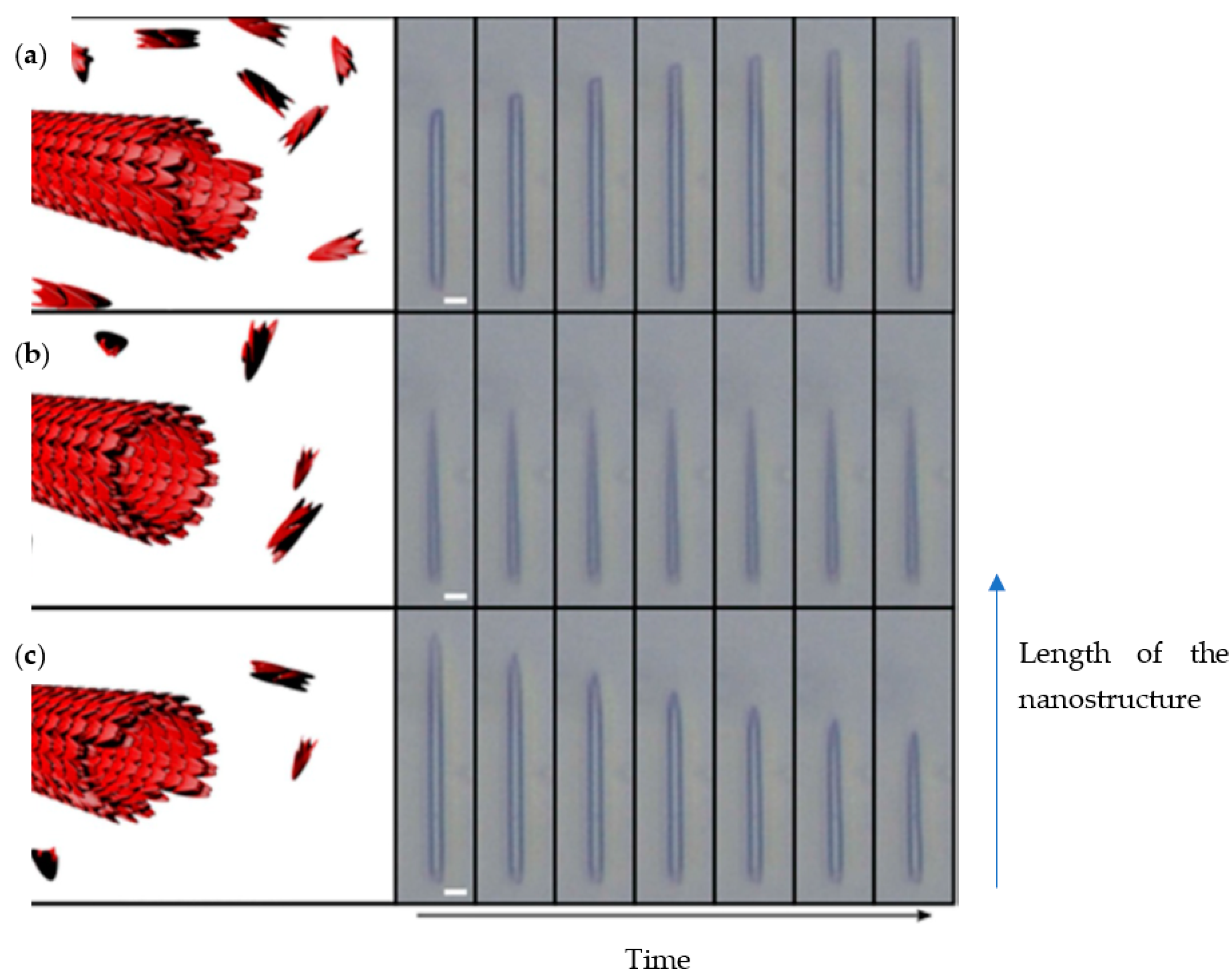 Molecules 26 04587 g004