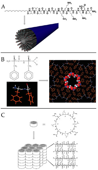Molecules 26 04587 g005