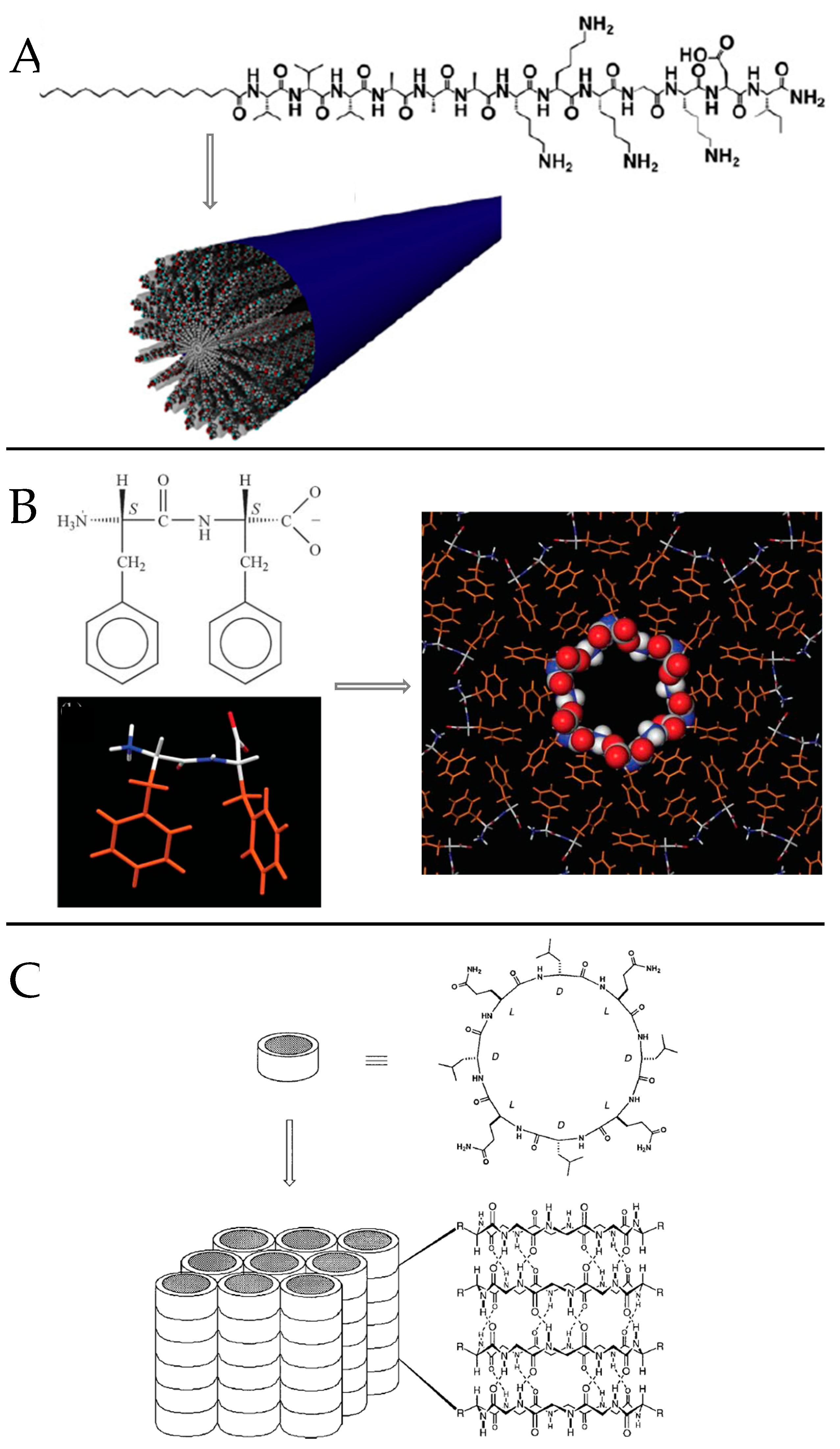 Molecules 26 04587 g005