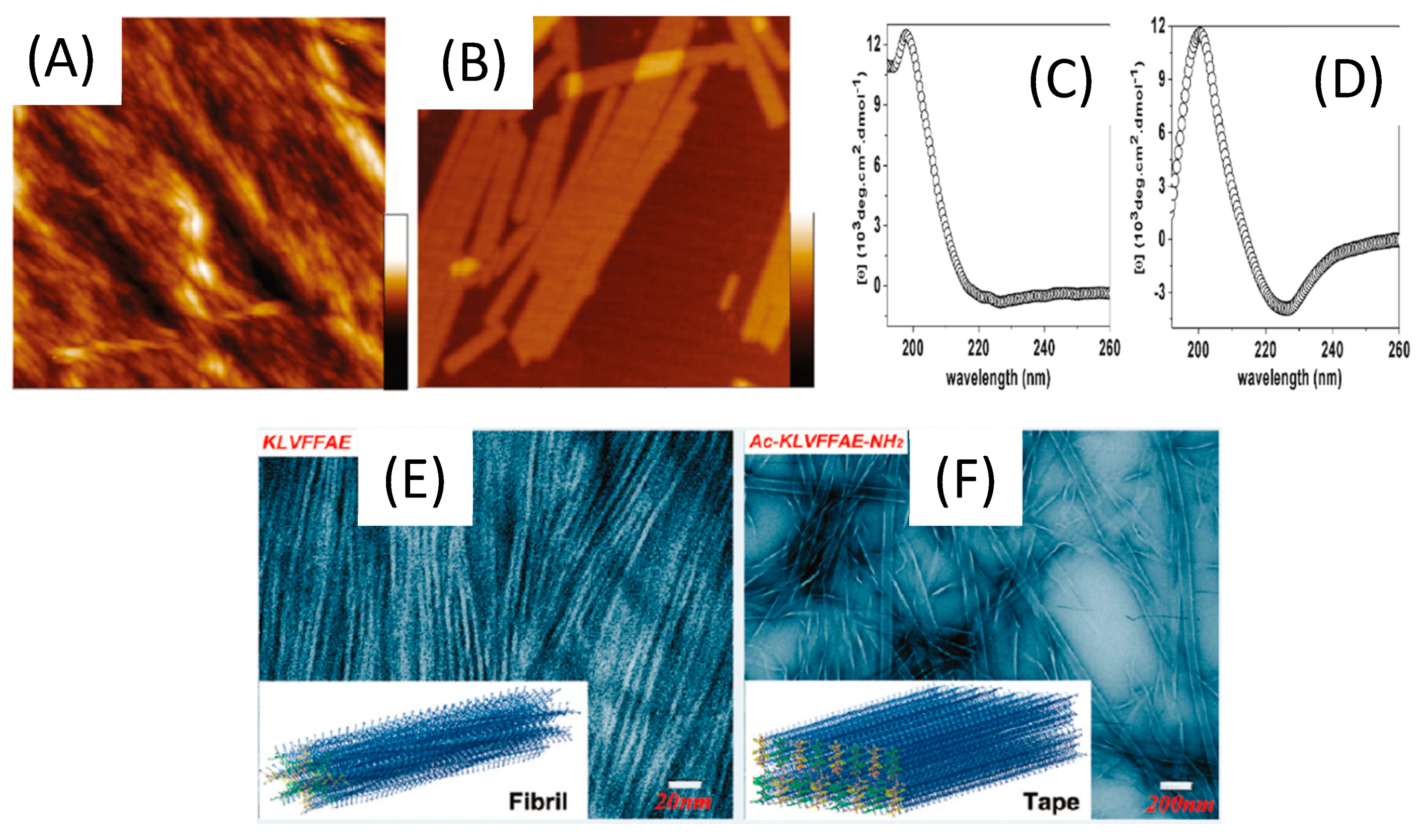 Molecules 26 04587 g007