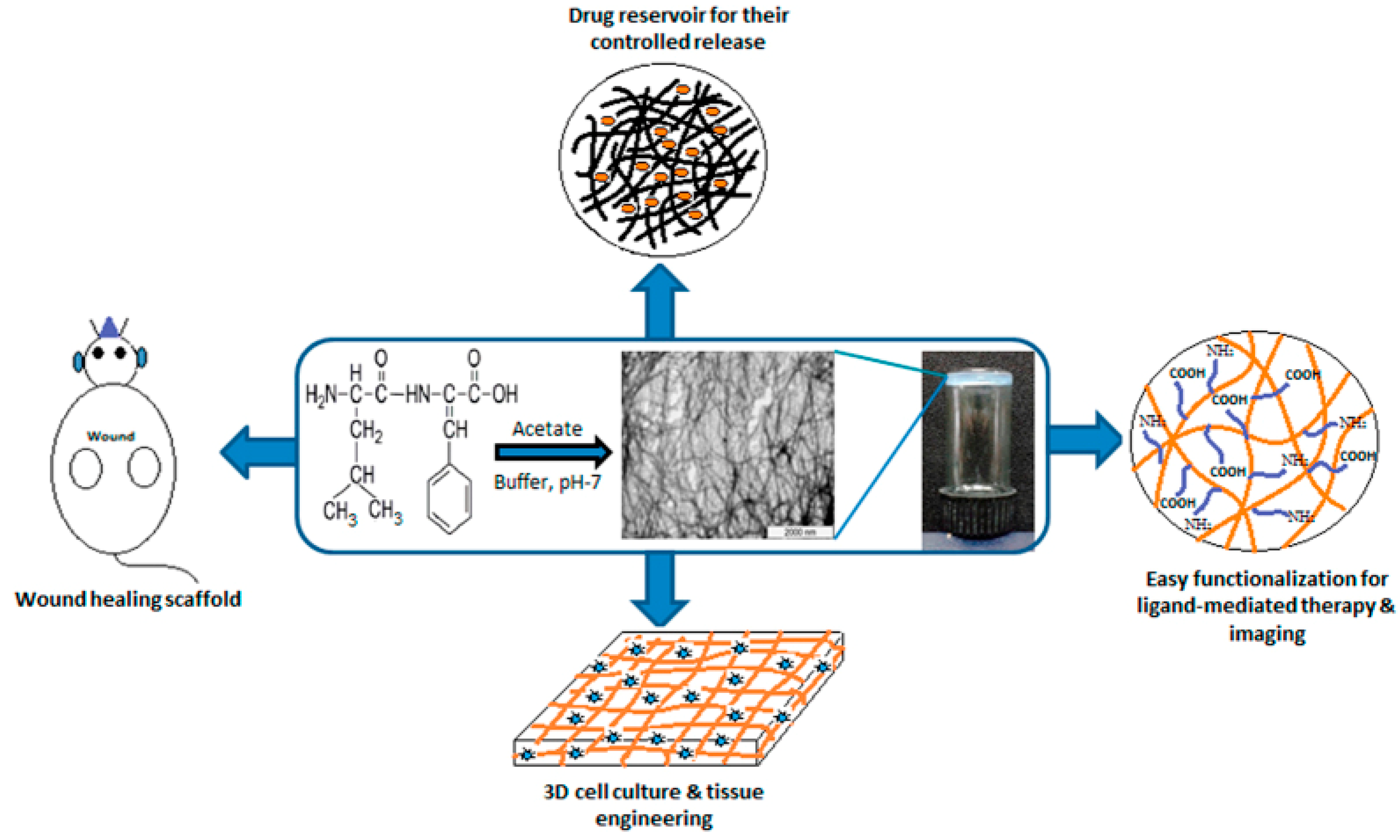Molecules 26 04587 g009