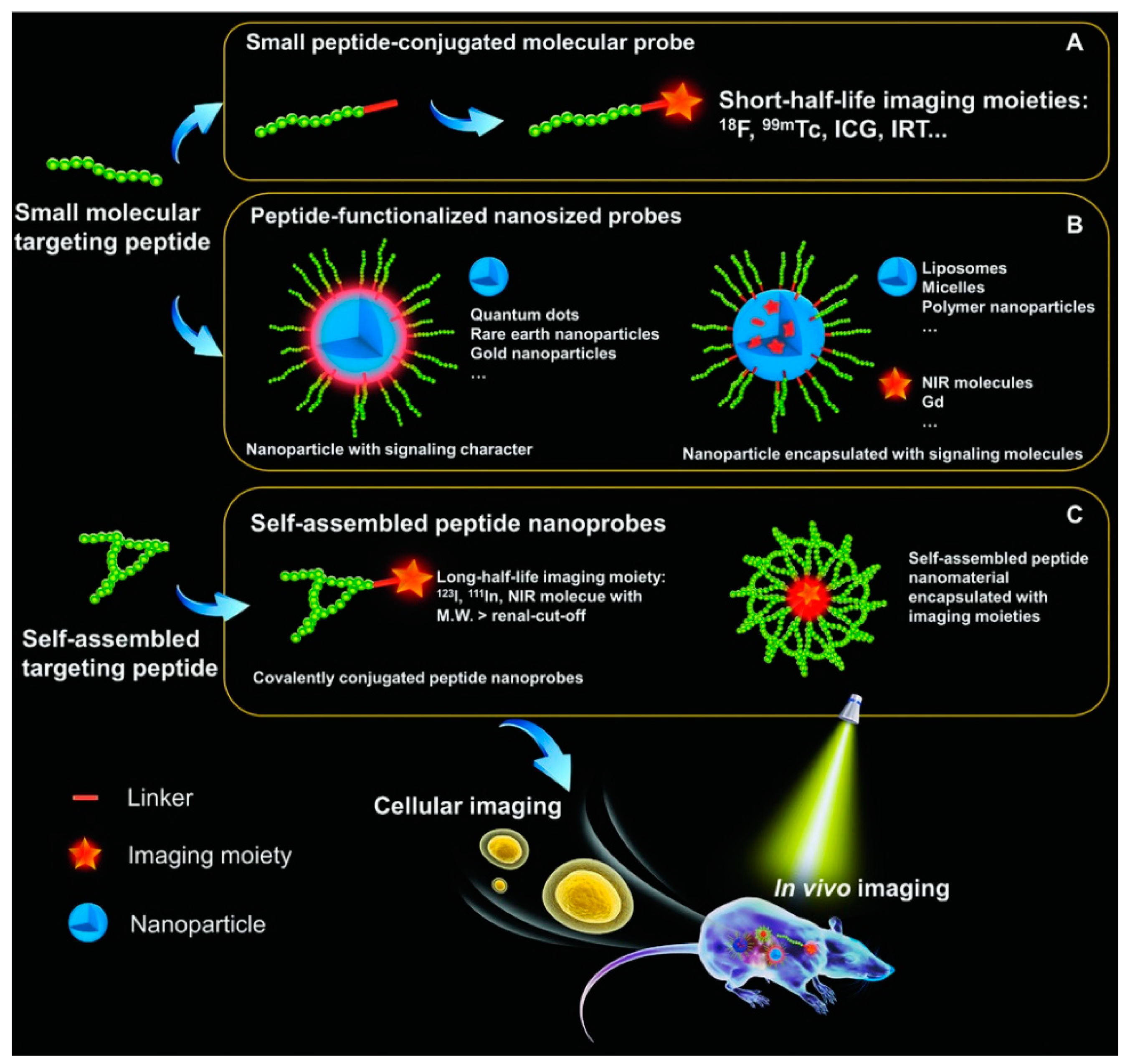 Molecules 26 04587 g010