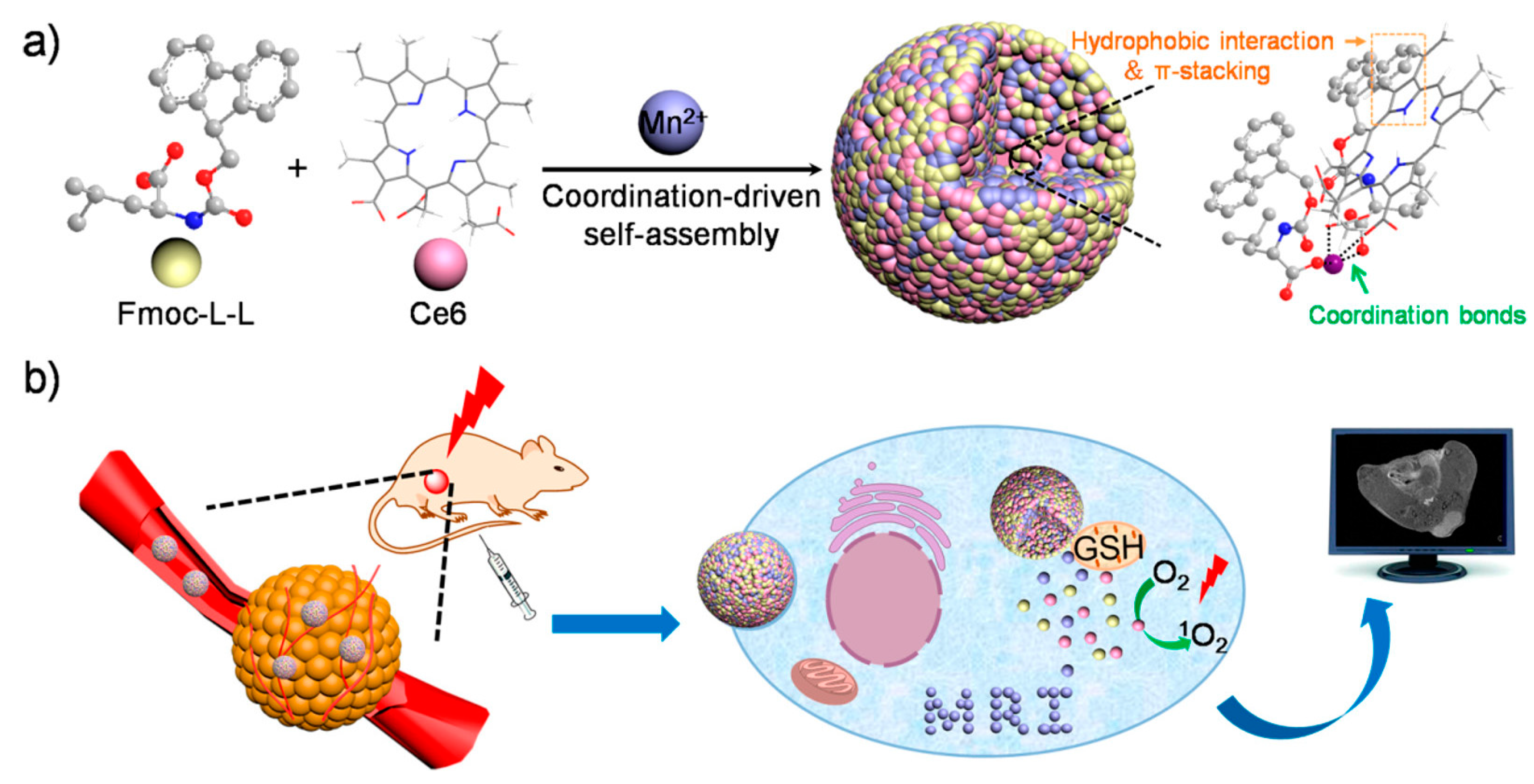 Molecules 26 04587 g011