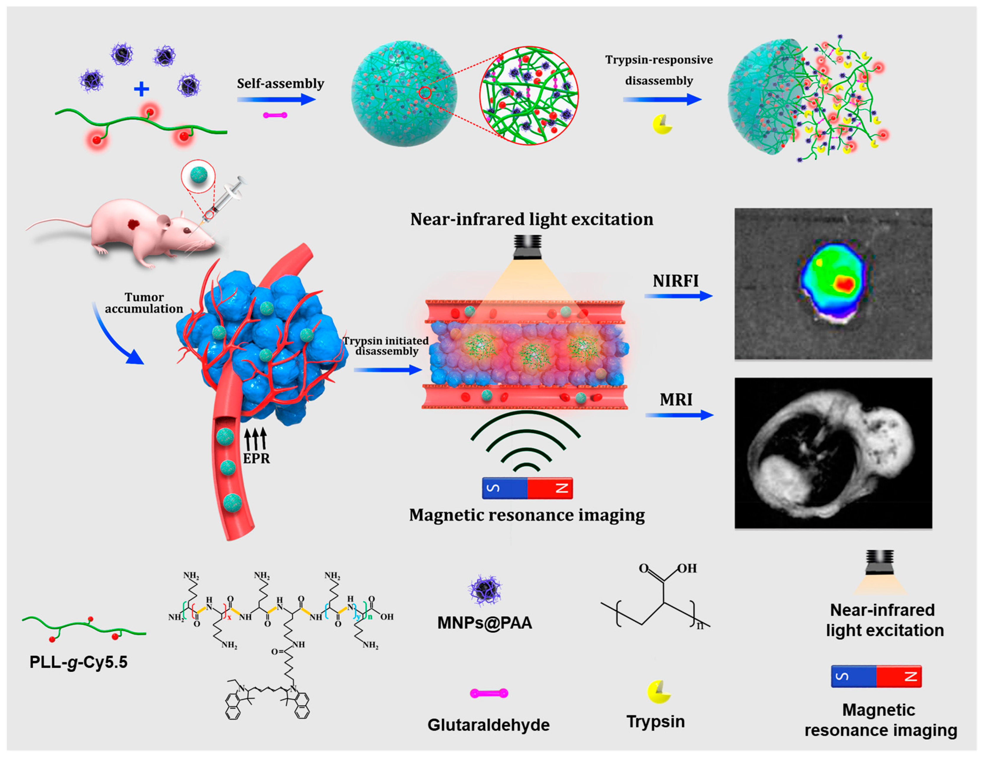 Molecules 26 04587 g012