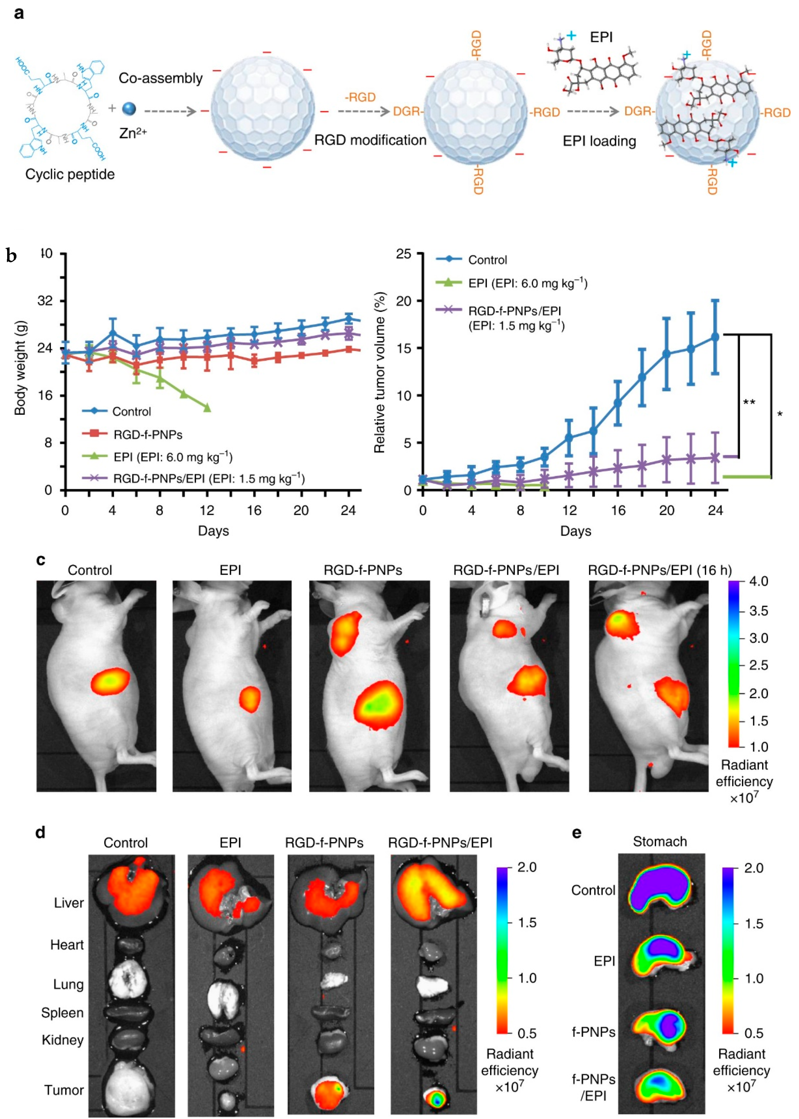 Molecules 26 04587 g013