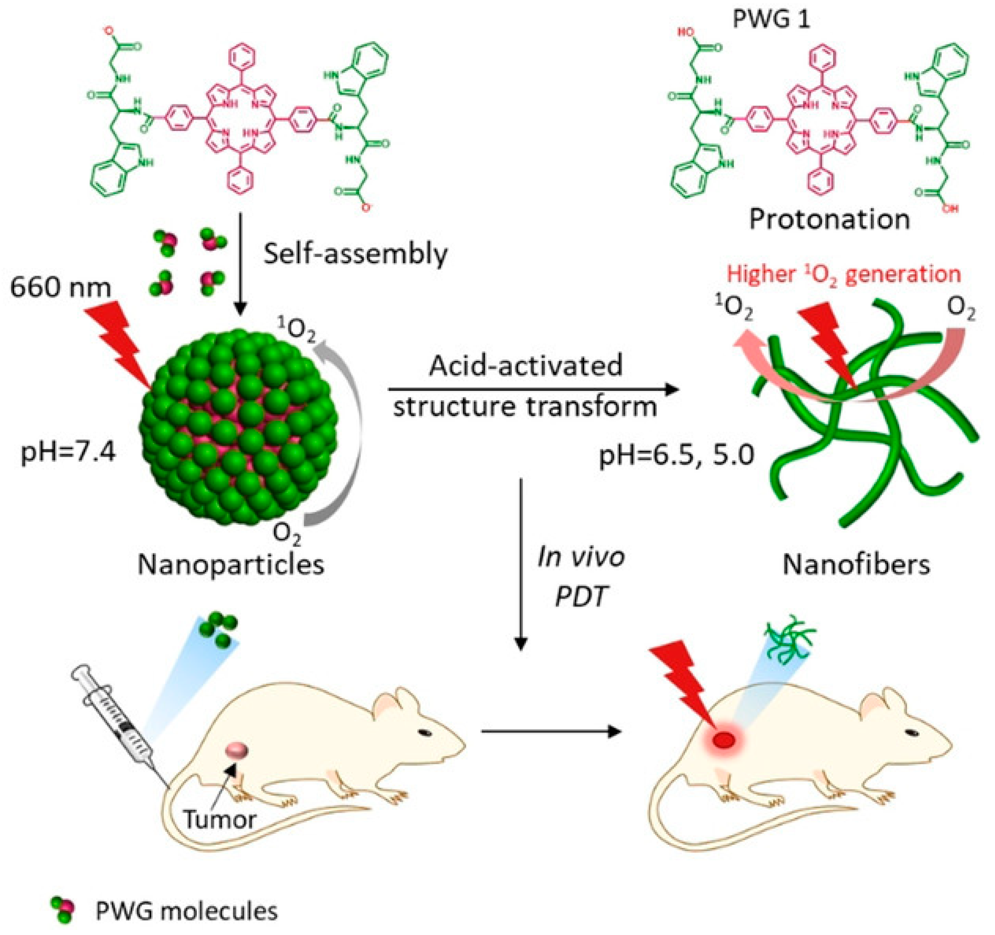 Molecules 26 04587 g014