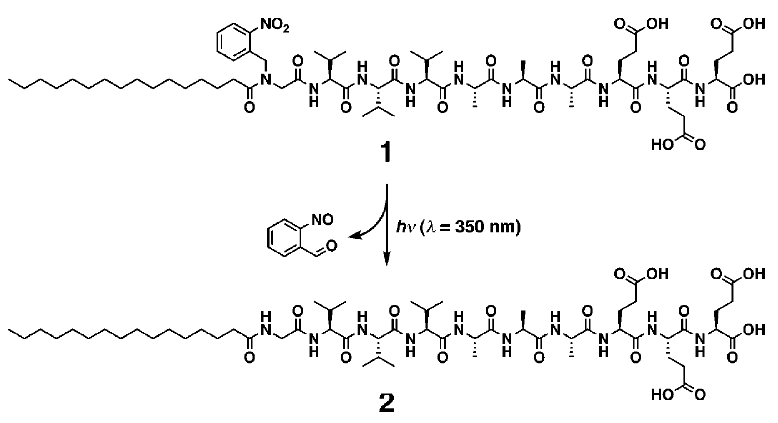 Molecules 26 04587 sch002