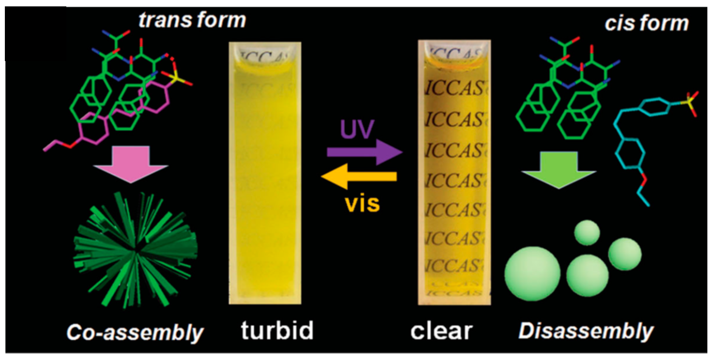Molecules 26 04587 sch003