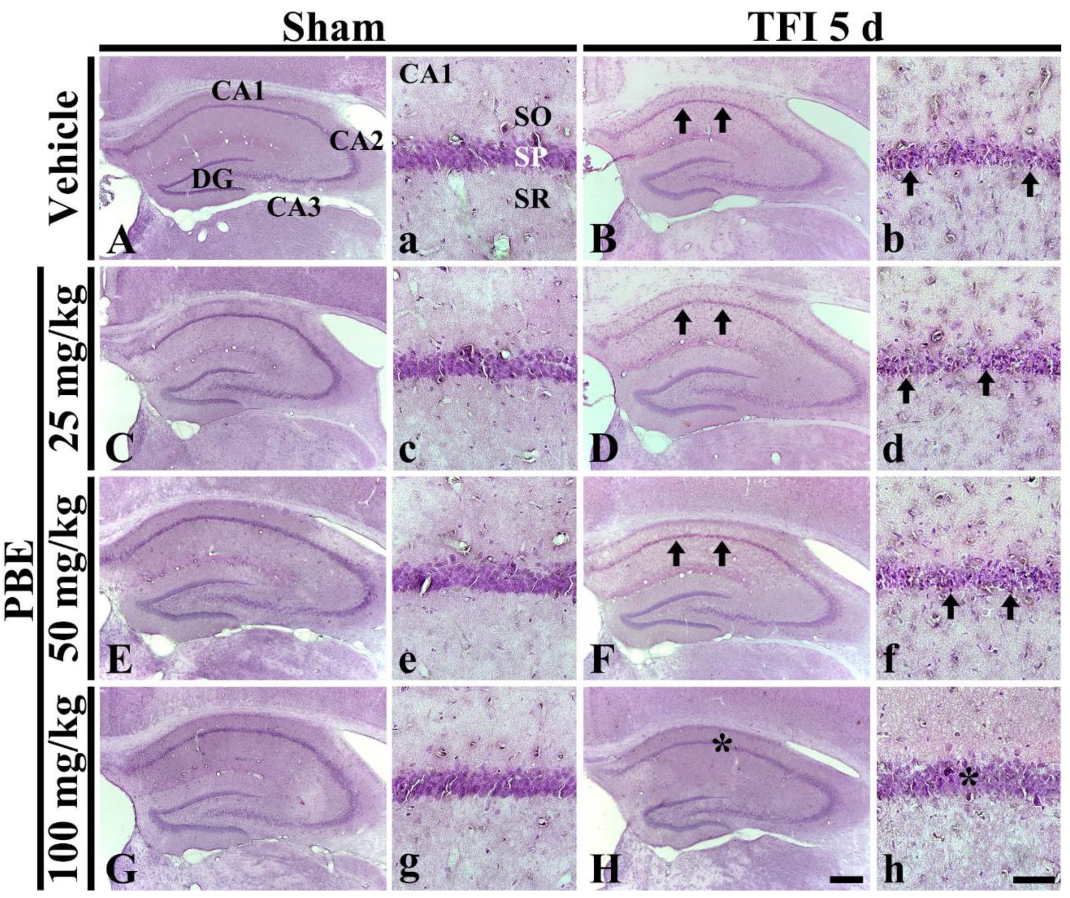 Molecules 26 04592 g001