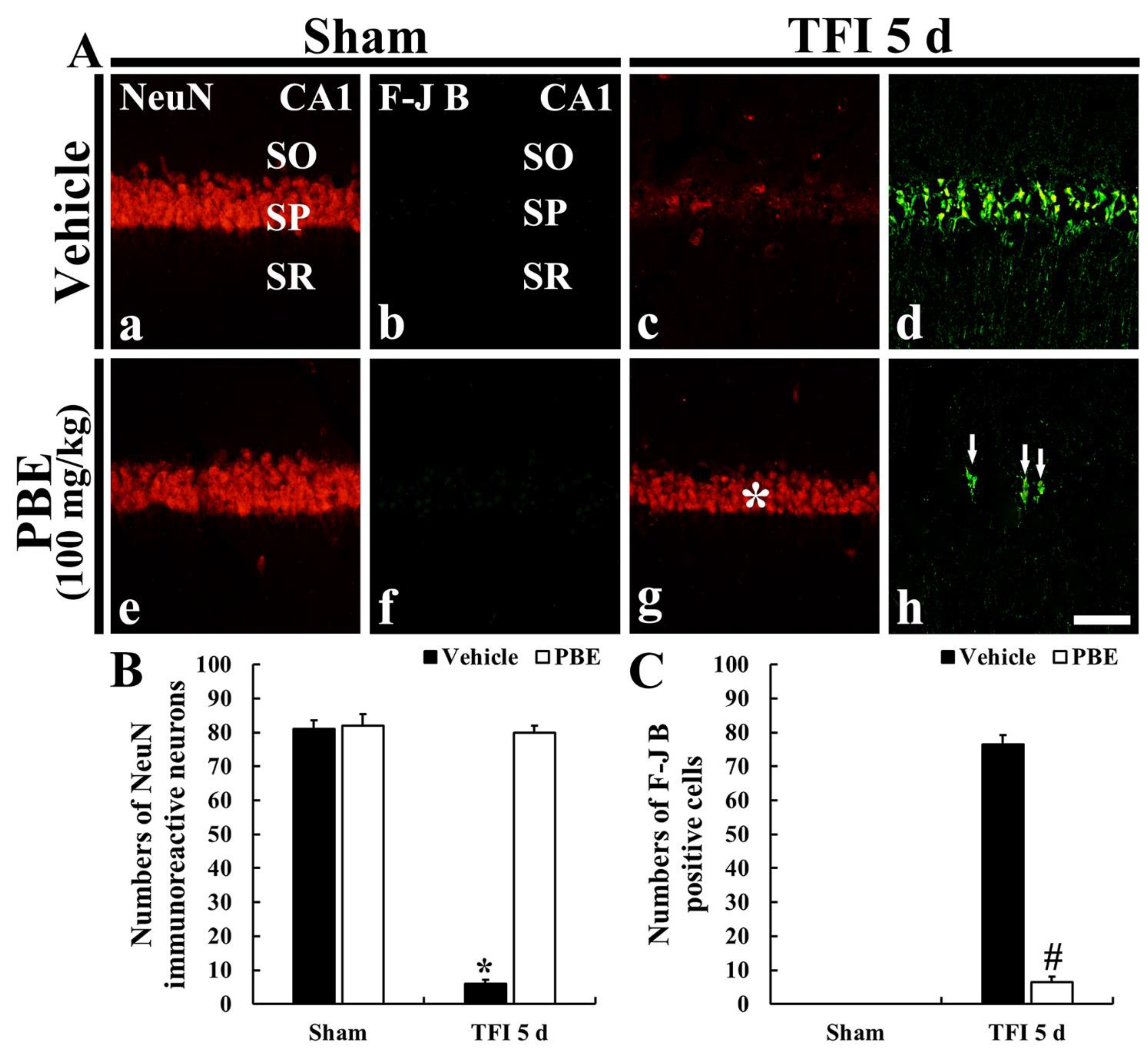 Molecules 26 04592 g002