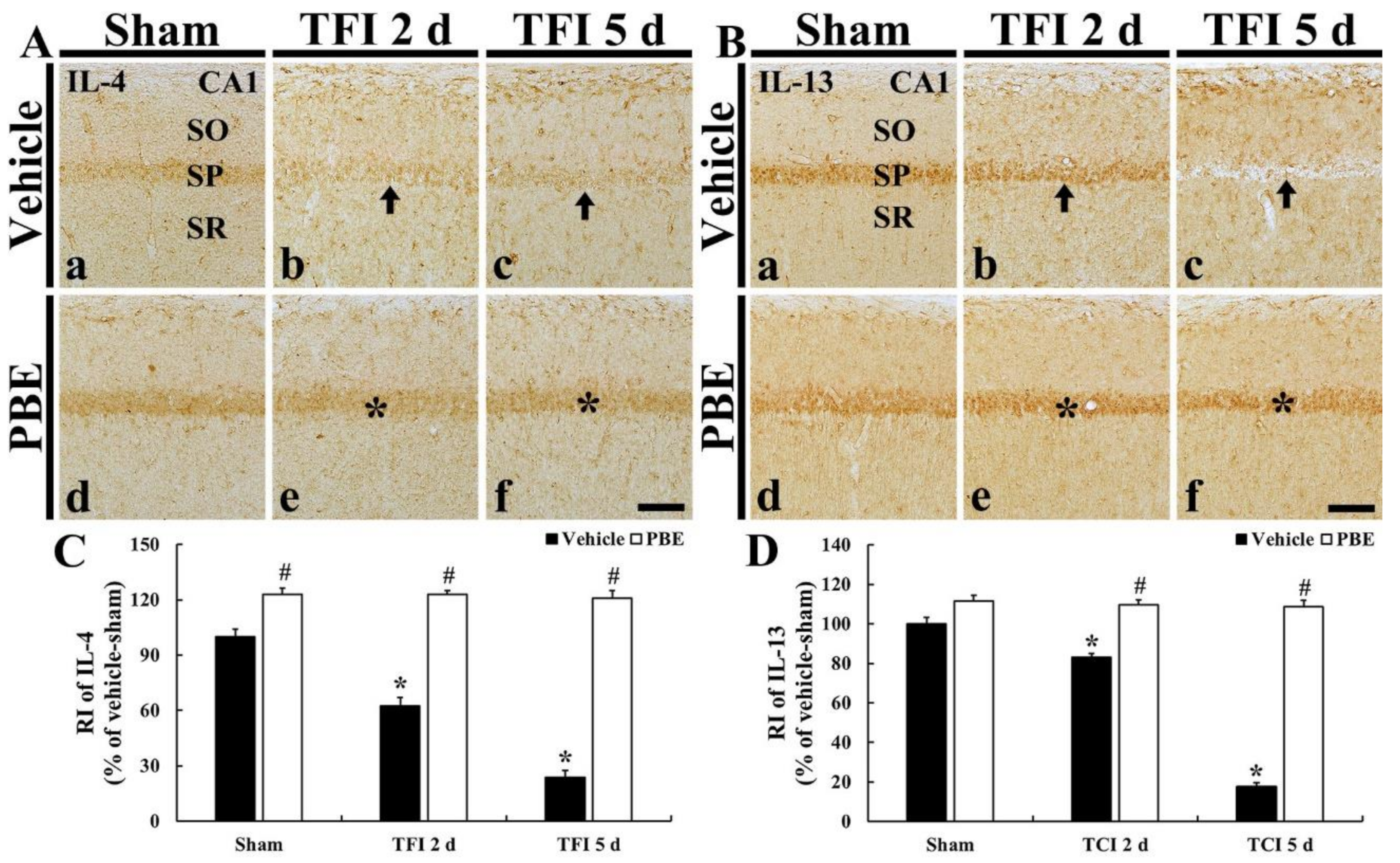 Molecules 26 04592 g005