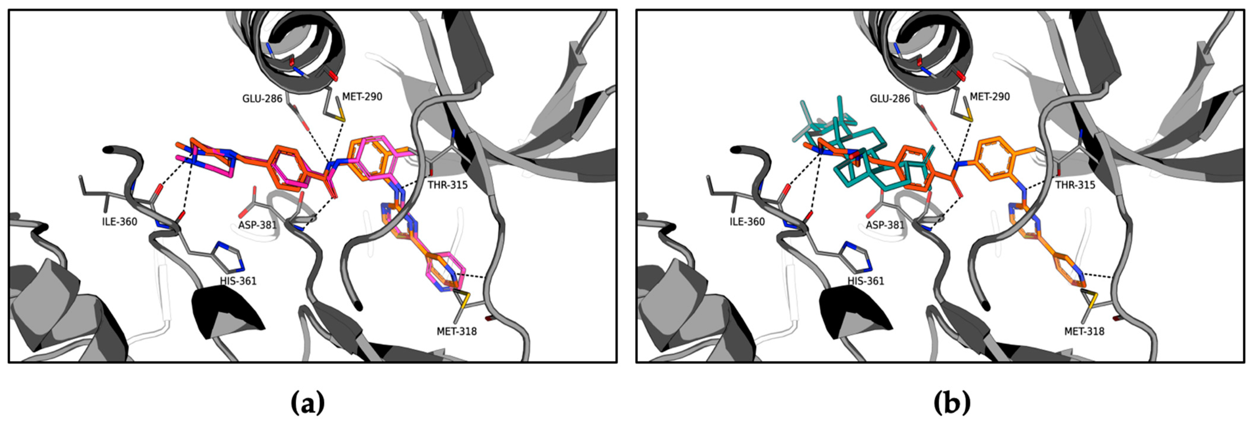 Molecules 26 04599 g004