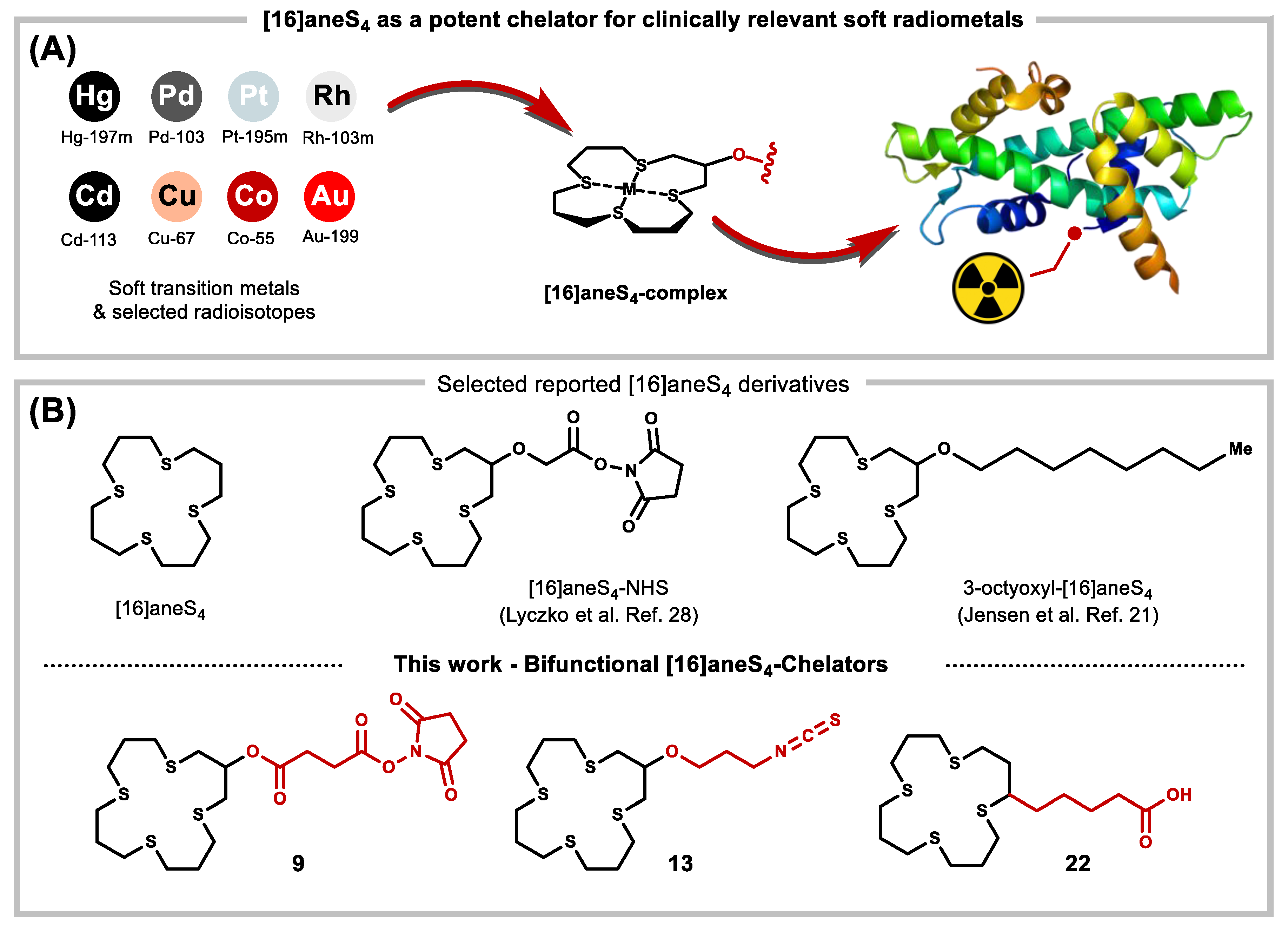 Molecules 26 04603 g001