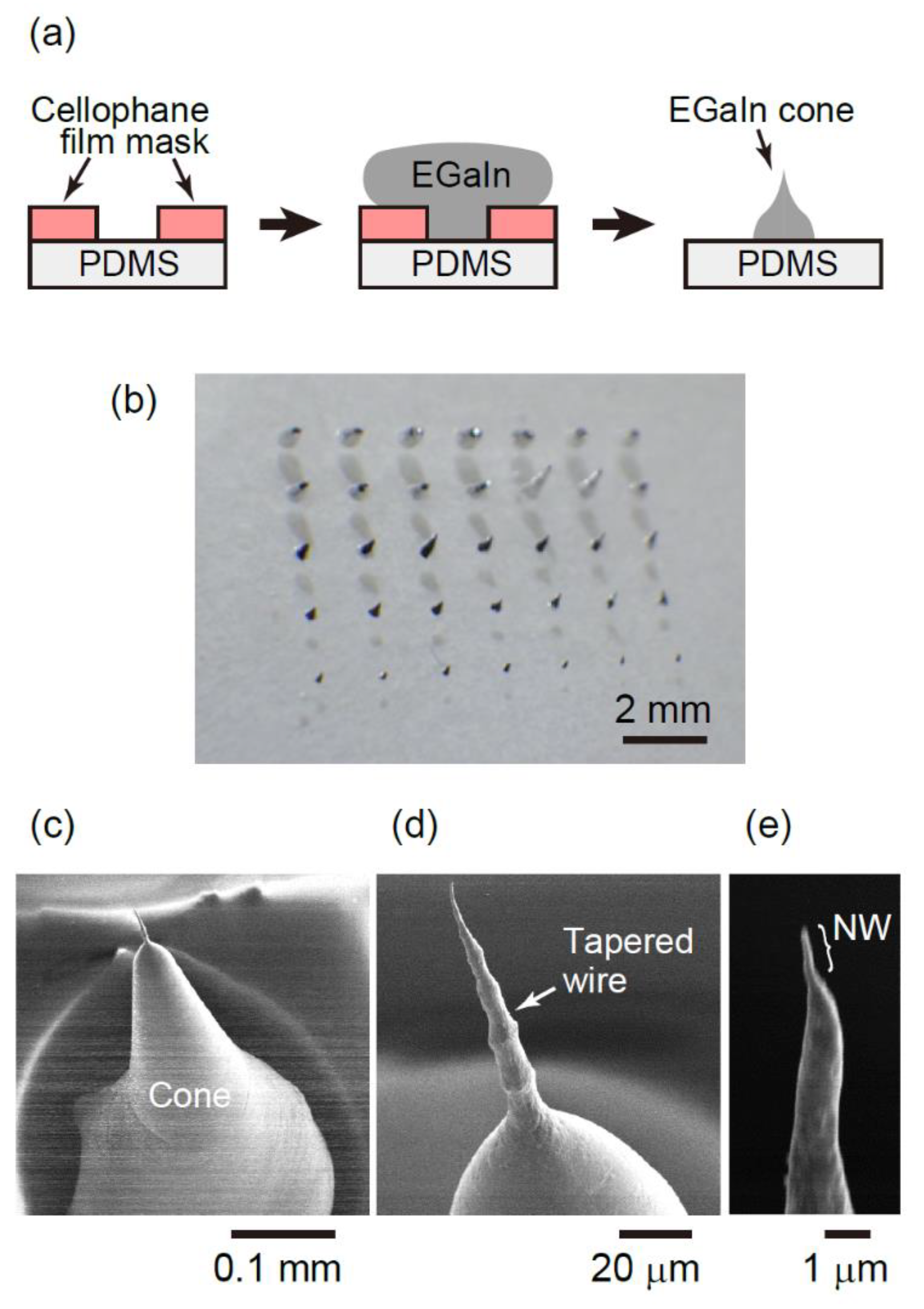 Molecules 26 04616 g001