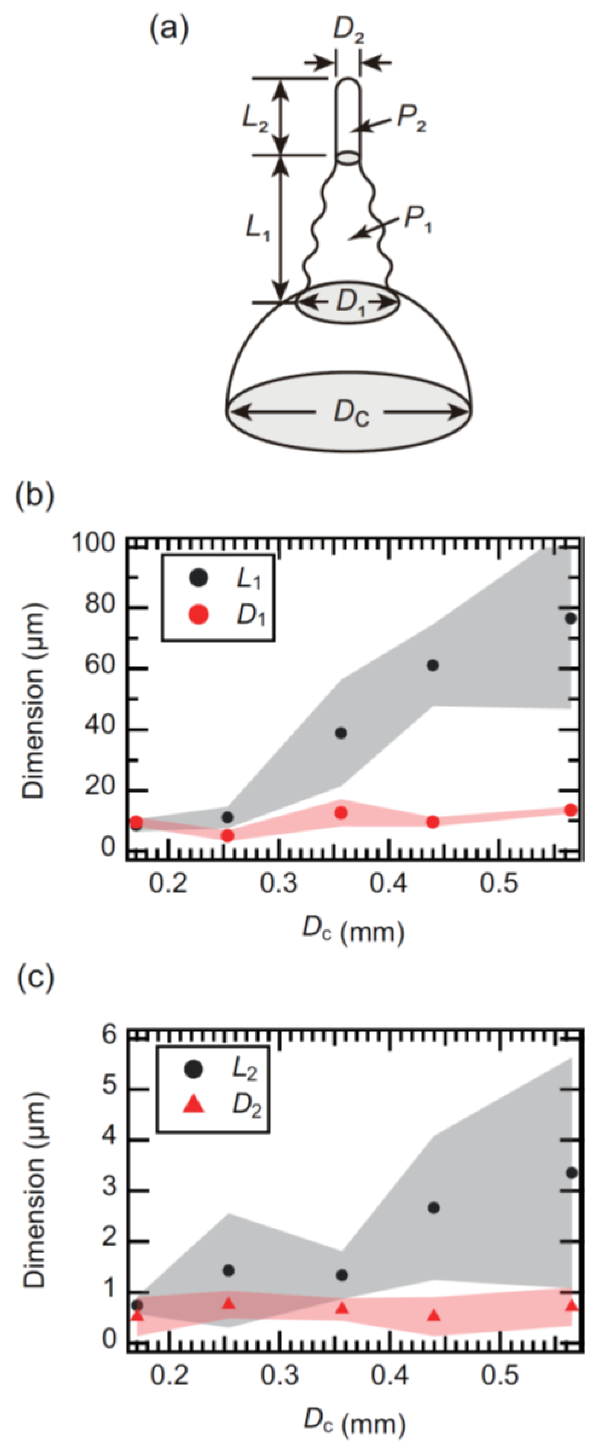 Molecules 26 04616 g003