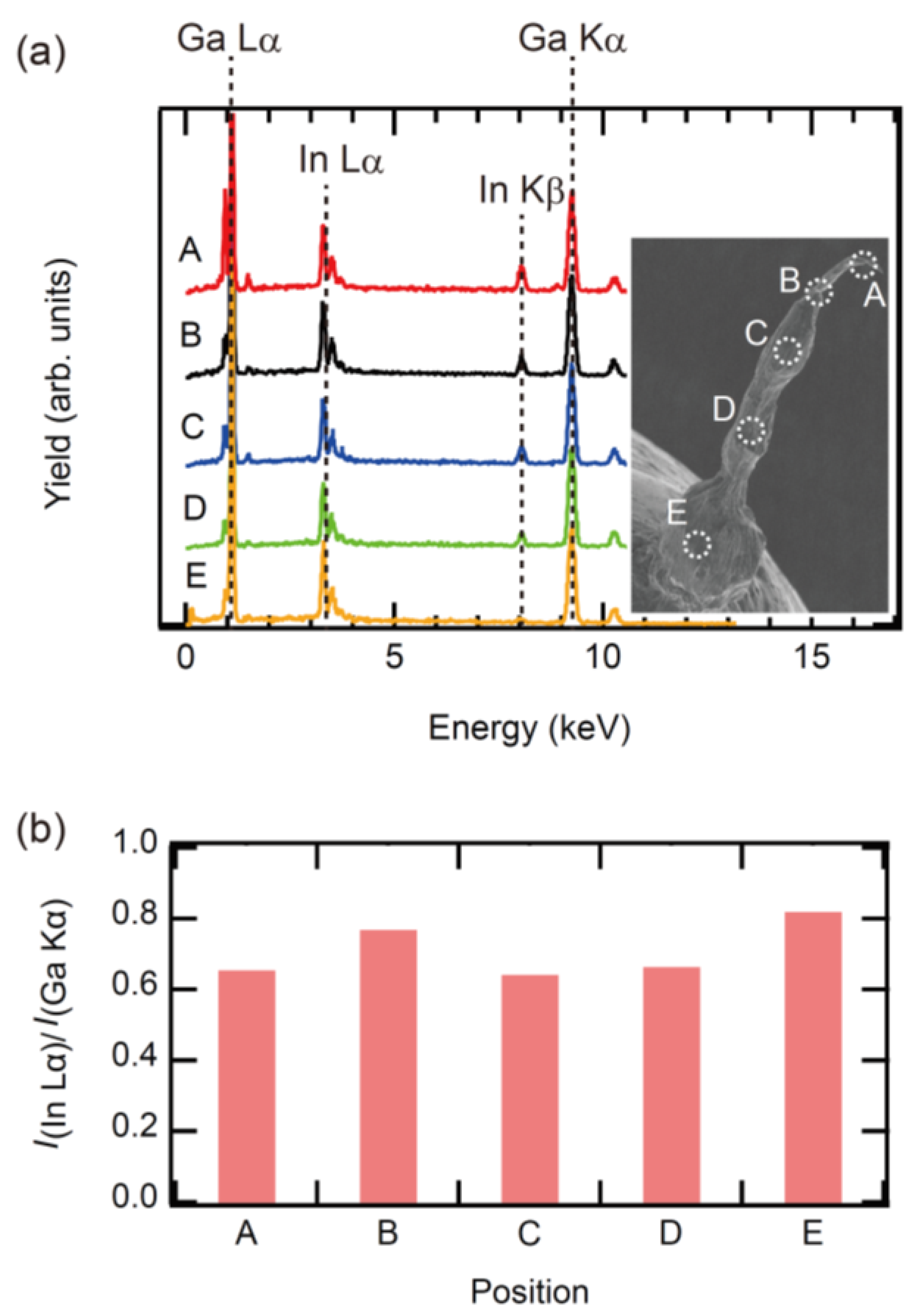 Molecules 26 04616 g004