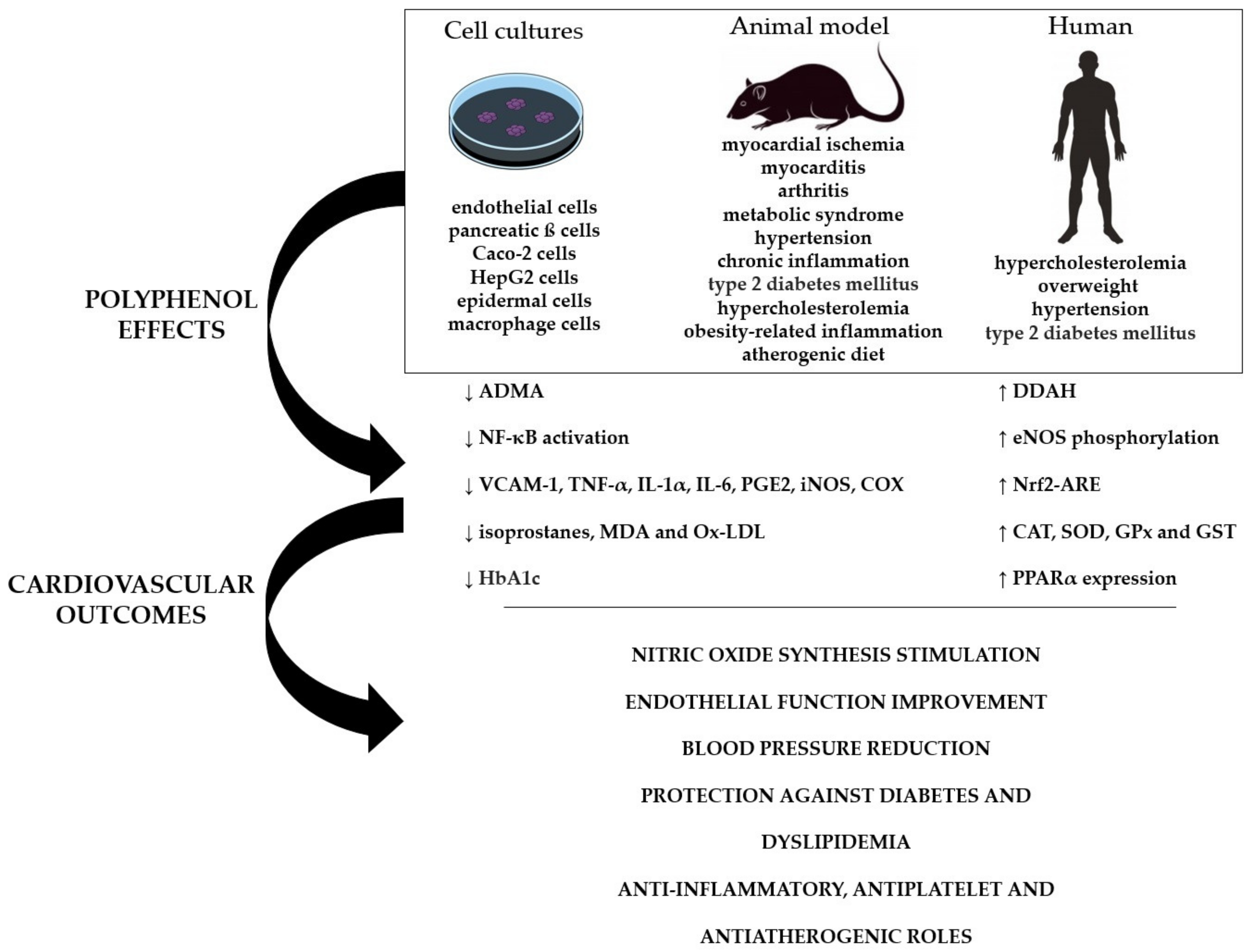 Molecules 26 04621 g001