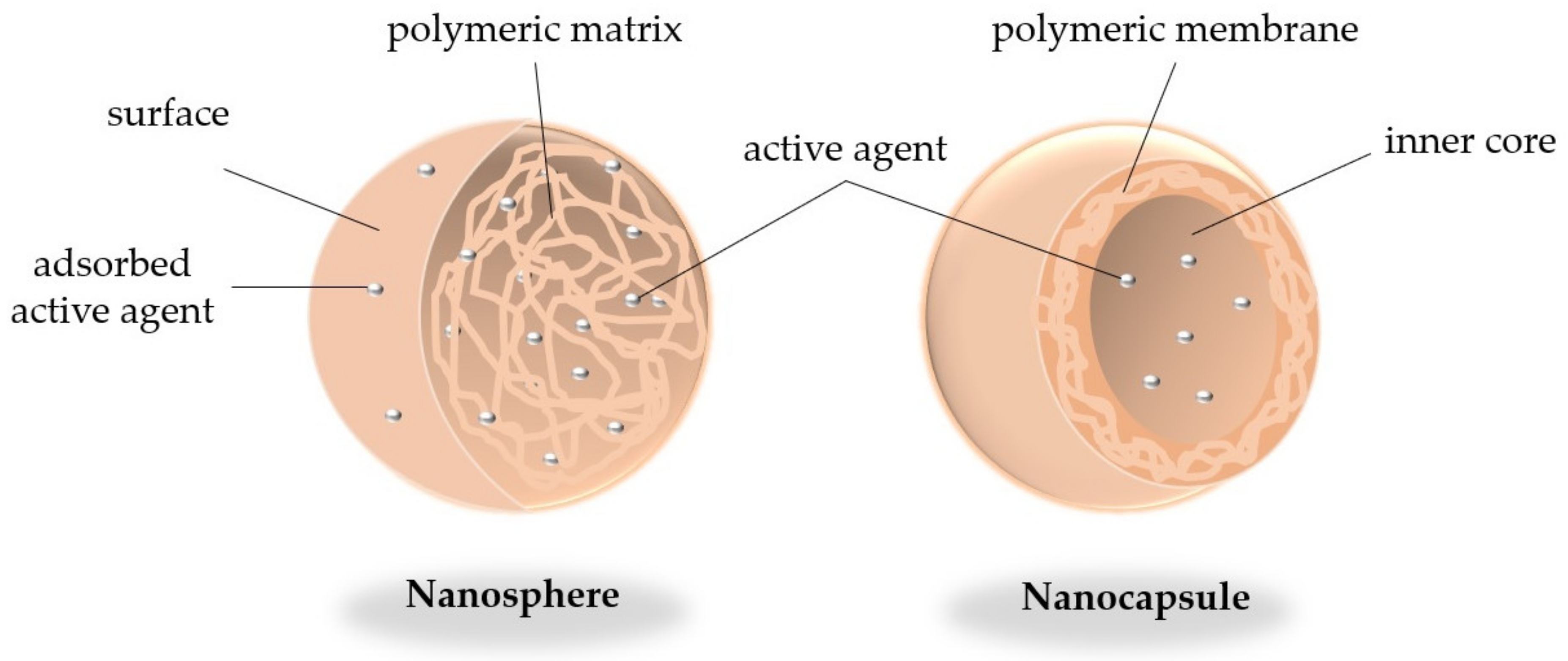 Molecules 26 04621 g002