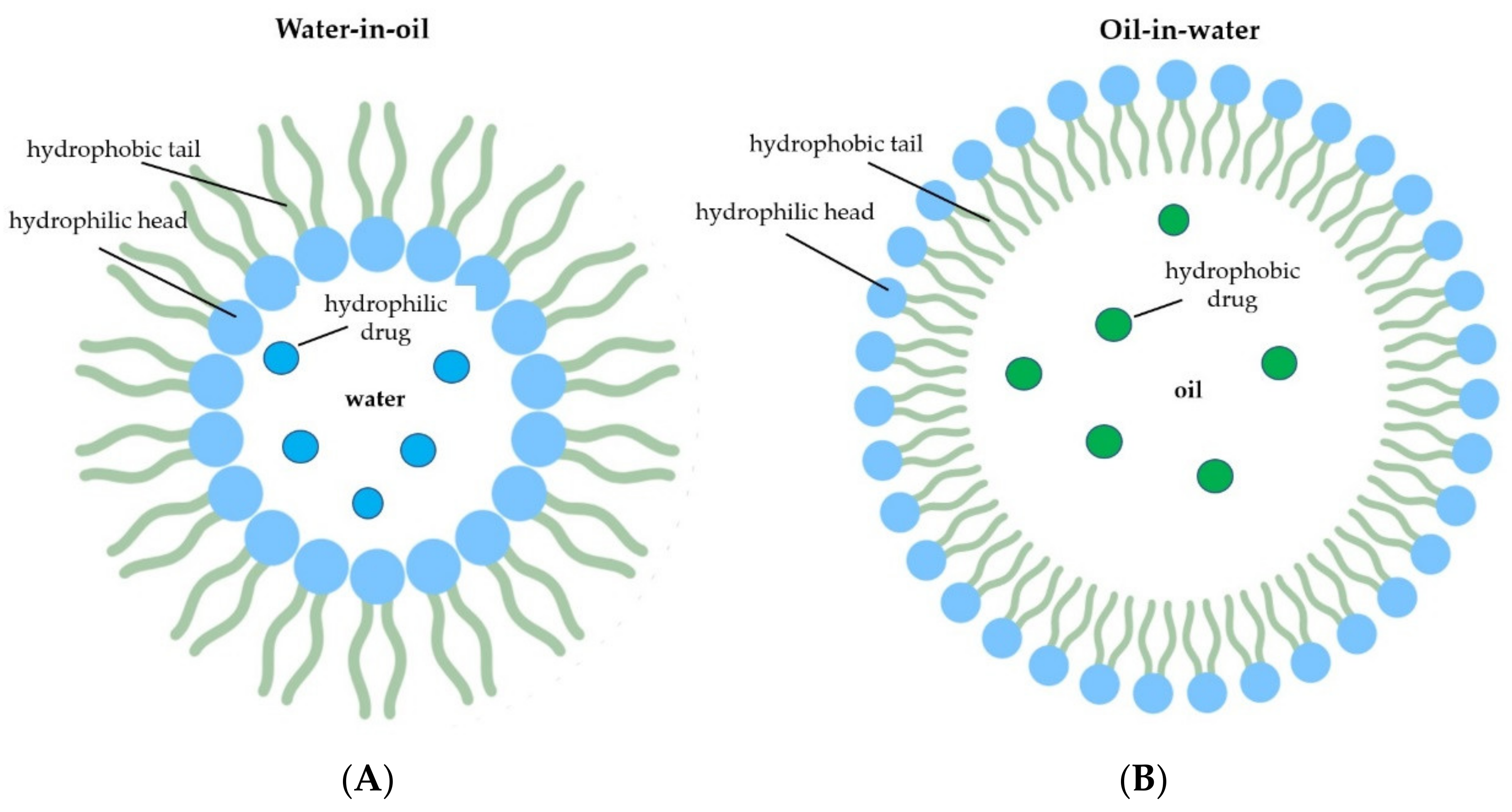 Molecules 26 04621 g003