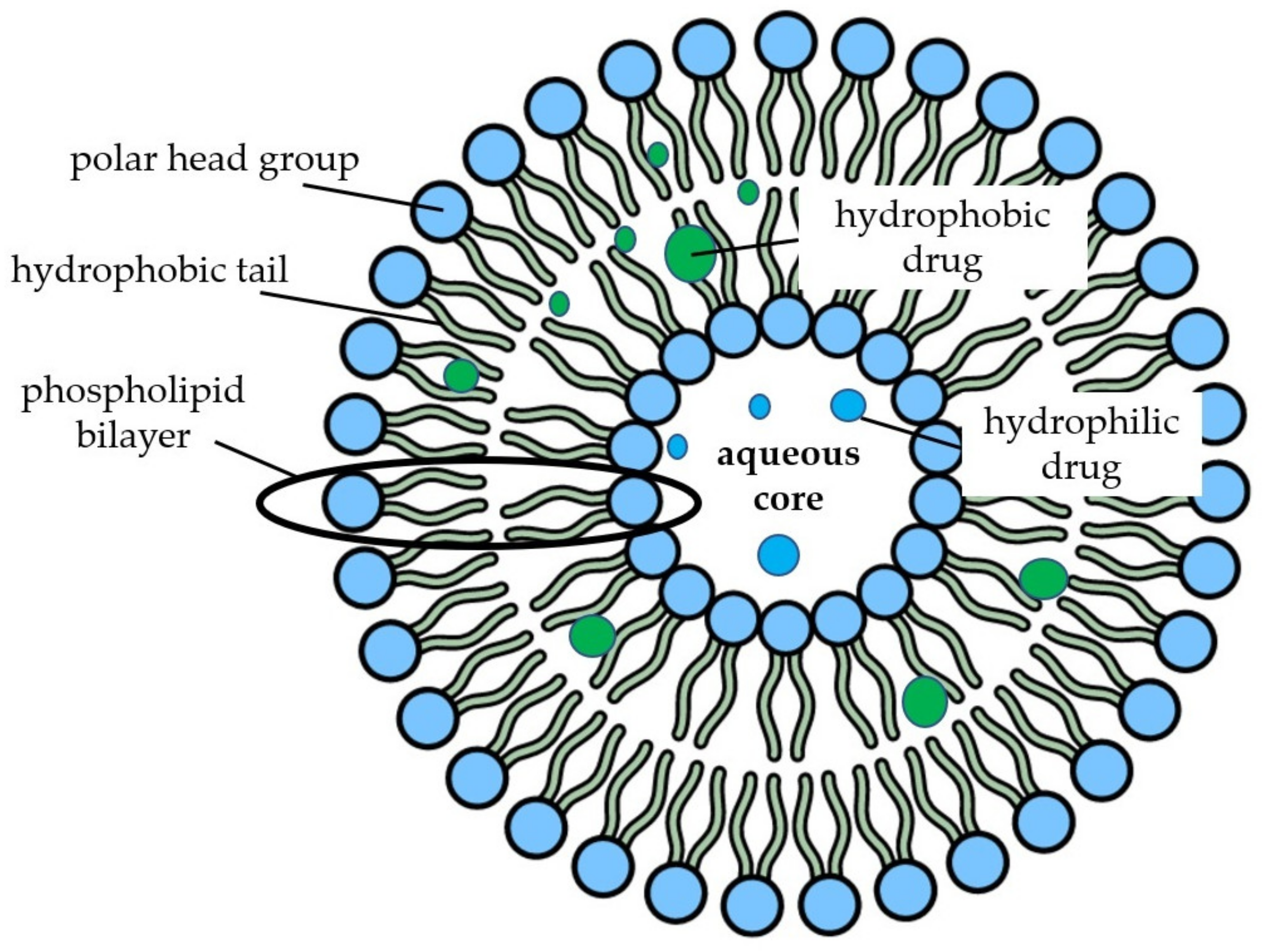 Molecules 26 04621 g004