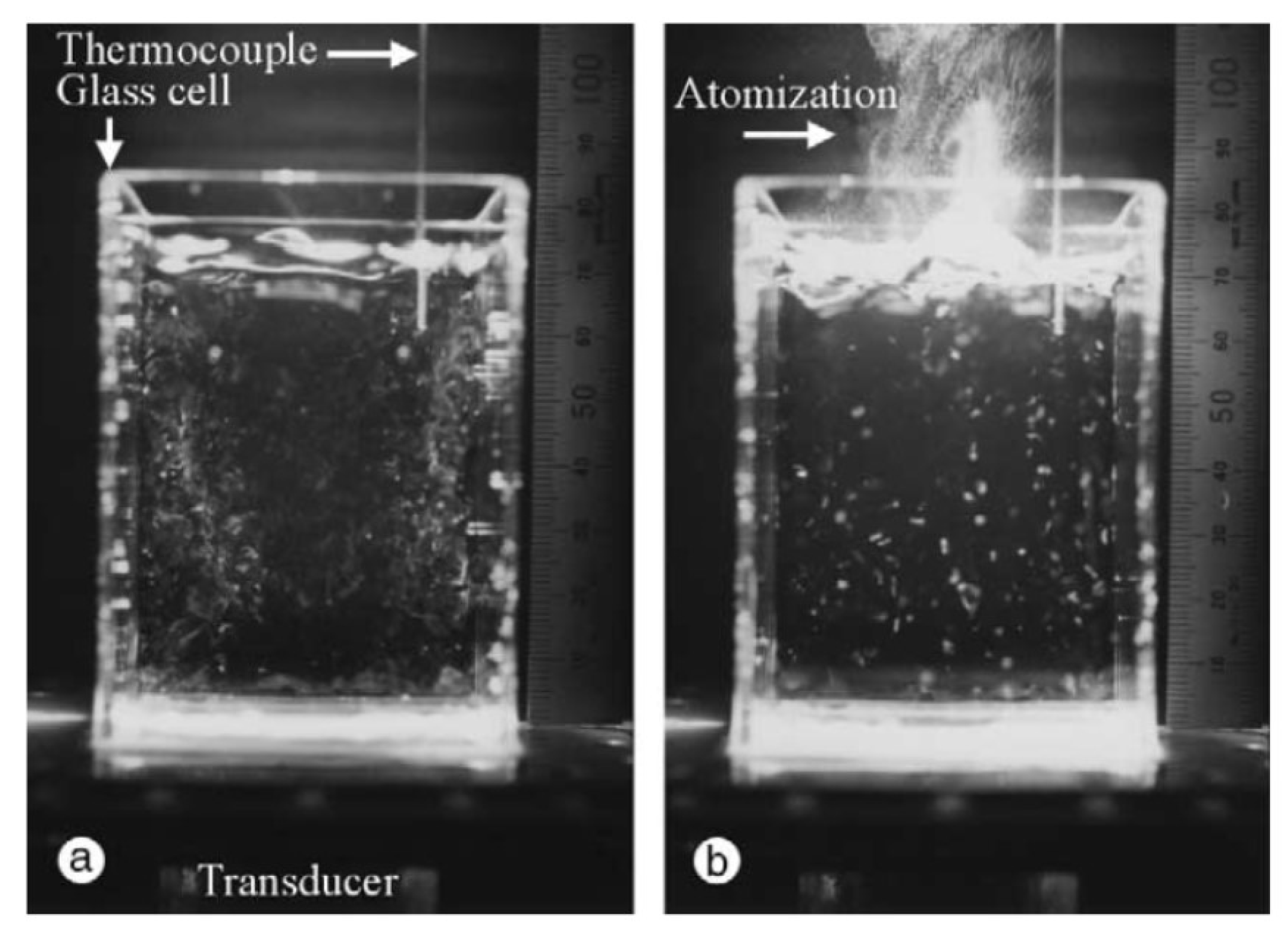 Molecules 26 04624 g028