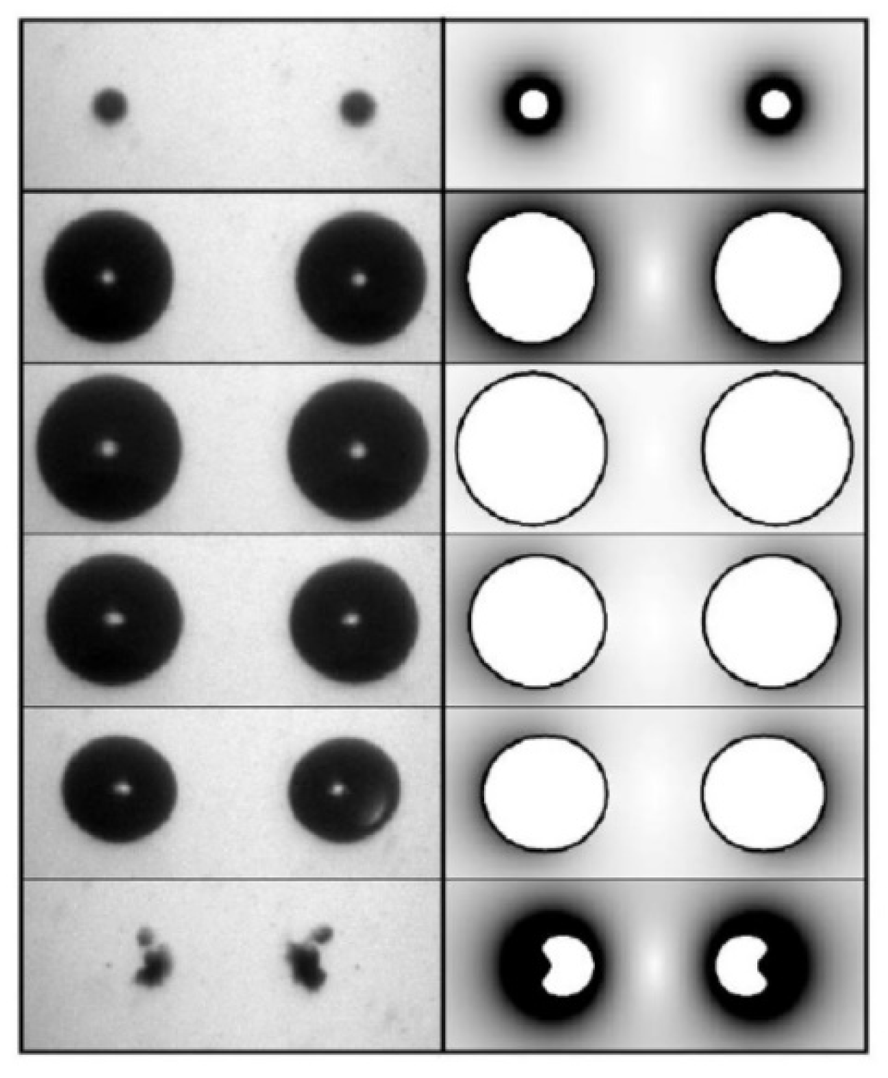 Molecules 26 04624 g034