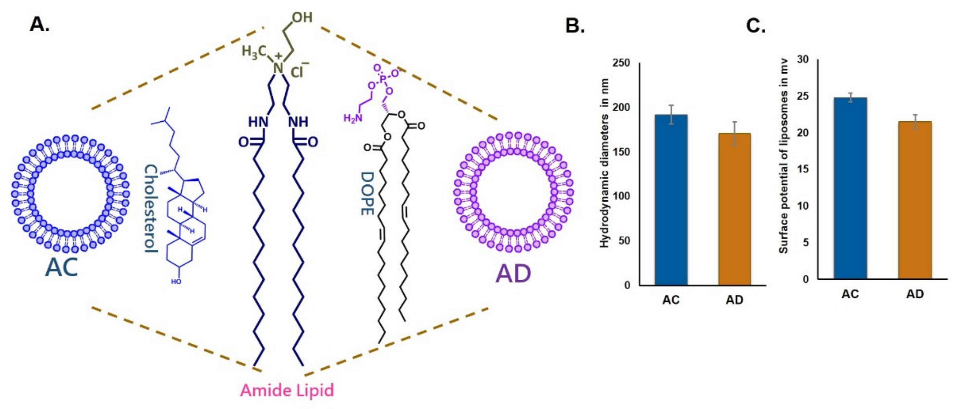 Molecules 26 04626 g001 Molecules 26 04626 g001