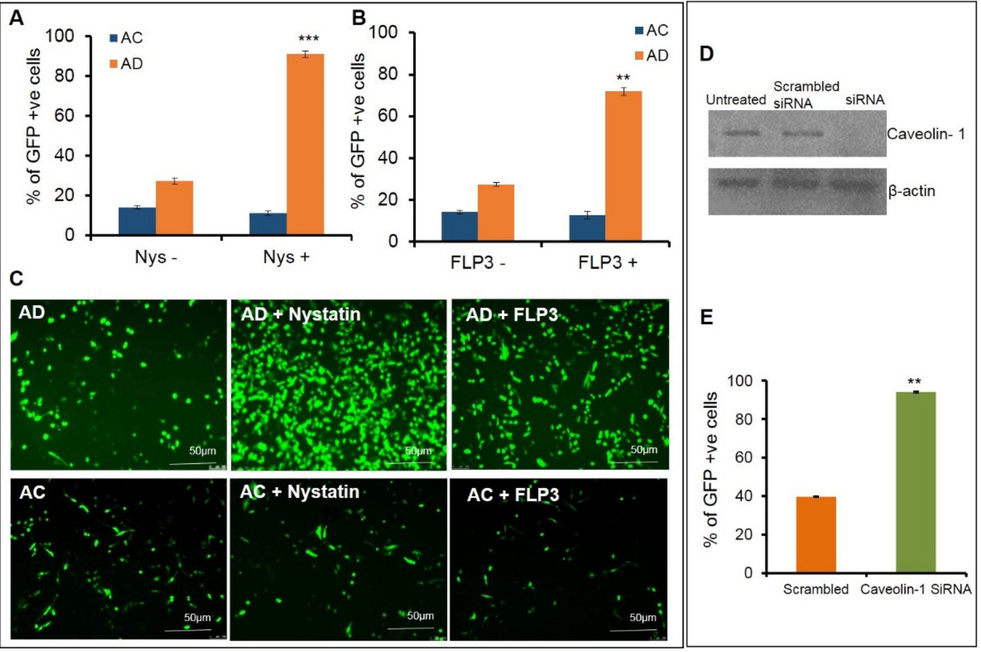 Molecules 26 04626 g002 Molecules 26 04626 g002