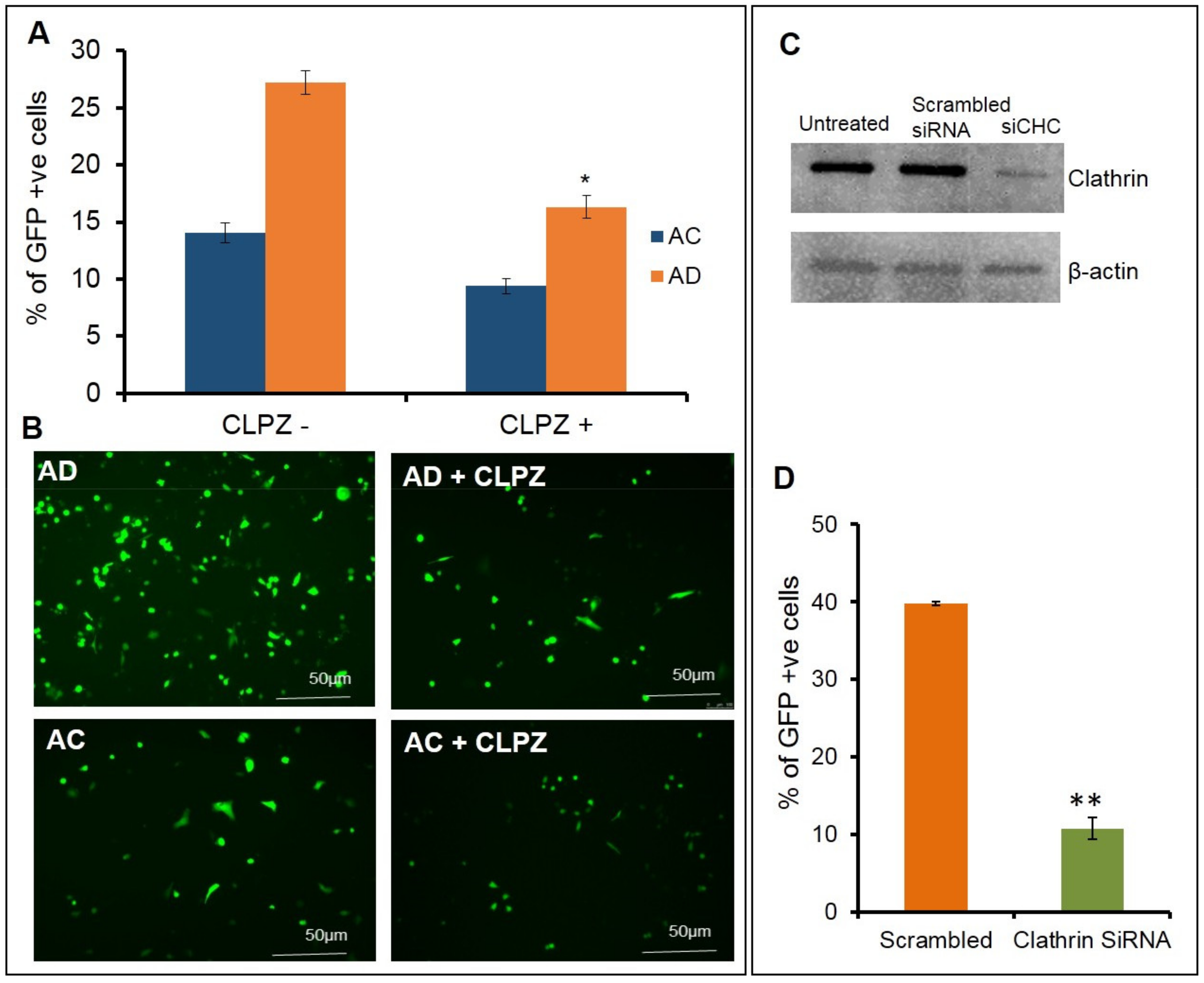 Molecules 26 04626 g003 Molecules 26 04626 g003