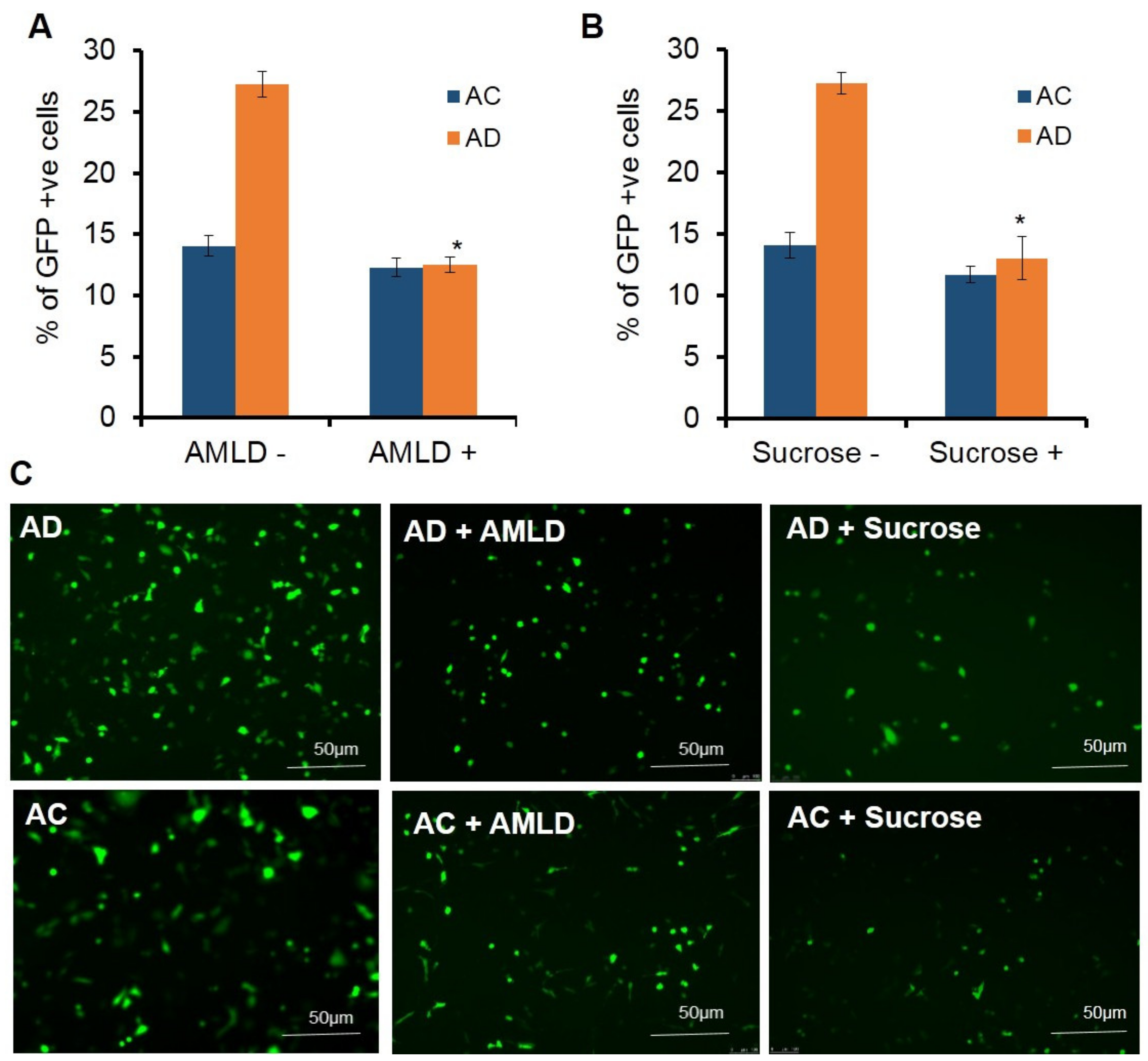 Molecules 26 04626 g004 Molecules 26 04626 g004