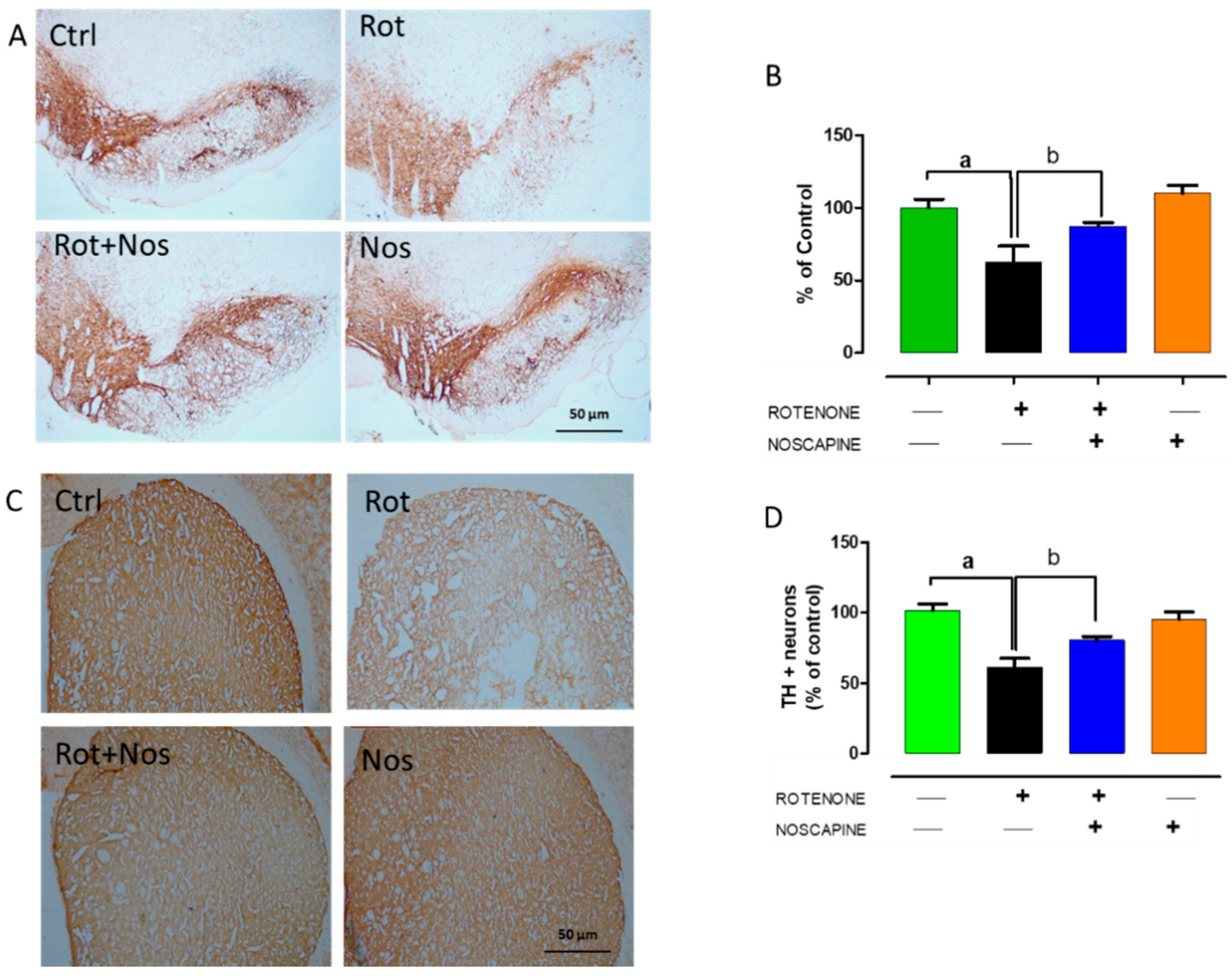 Molecules 26 04627 g004