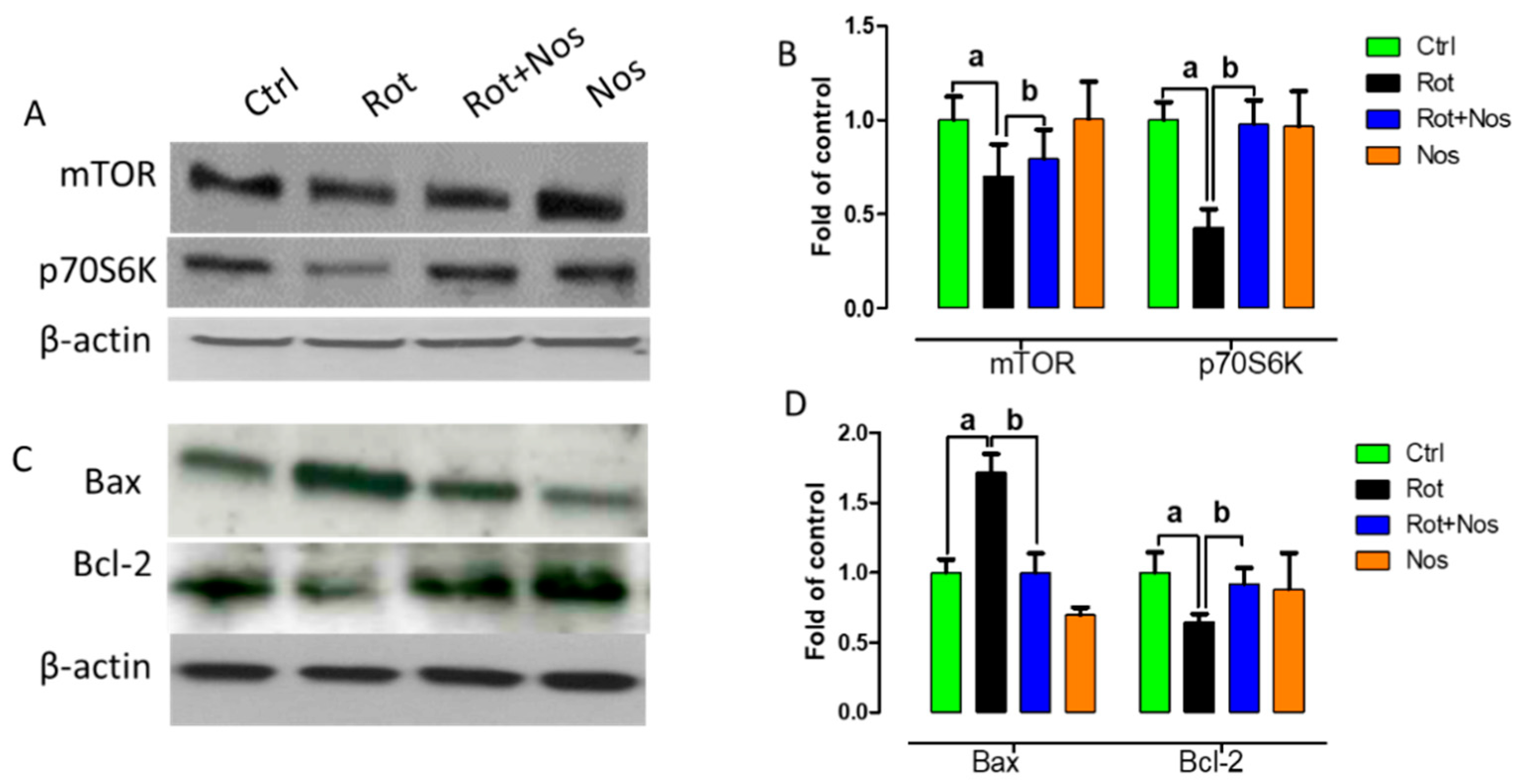 Molecules 26 04627 g006