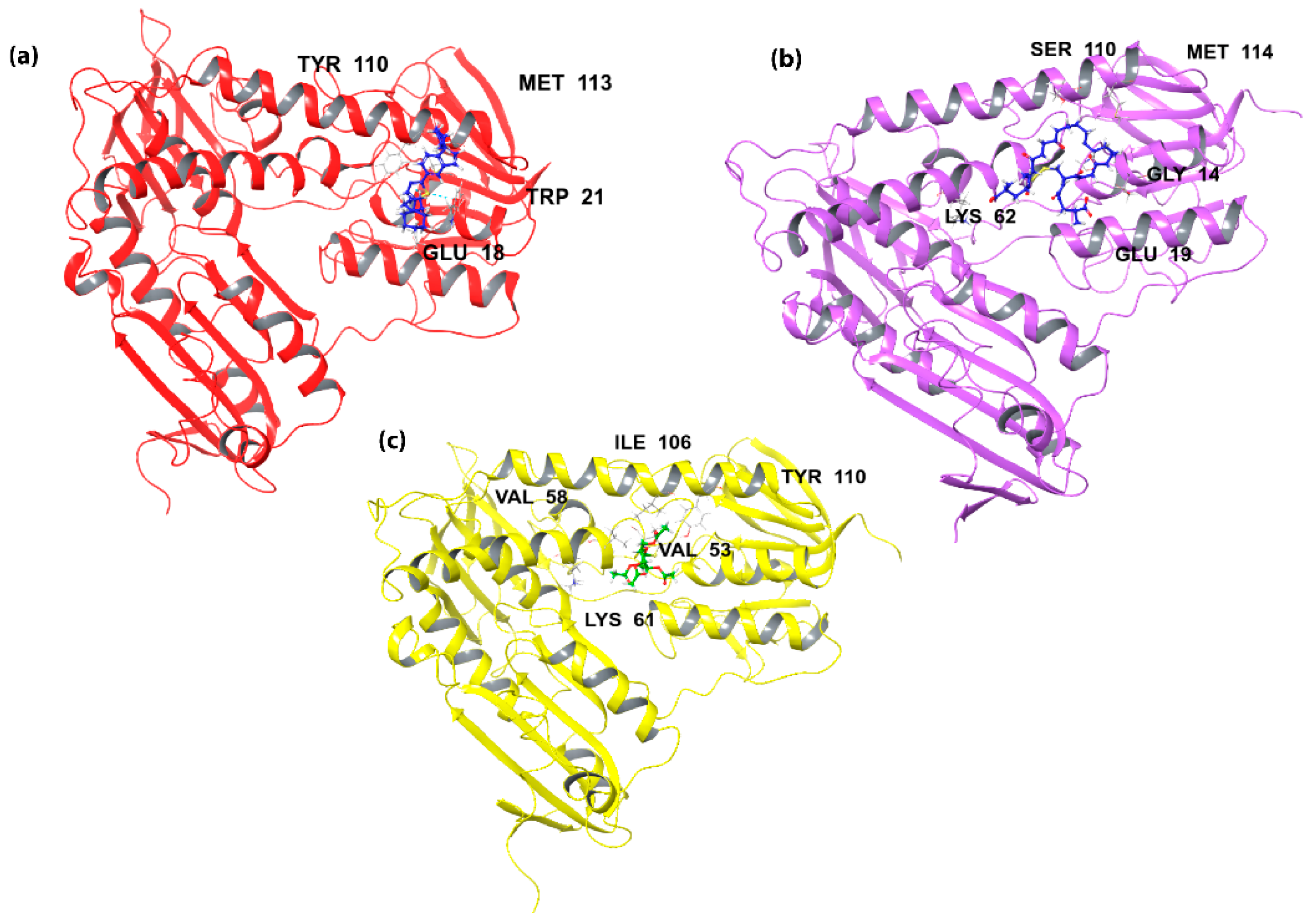 Molecules 26 04629 g003