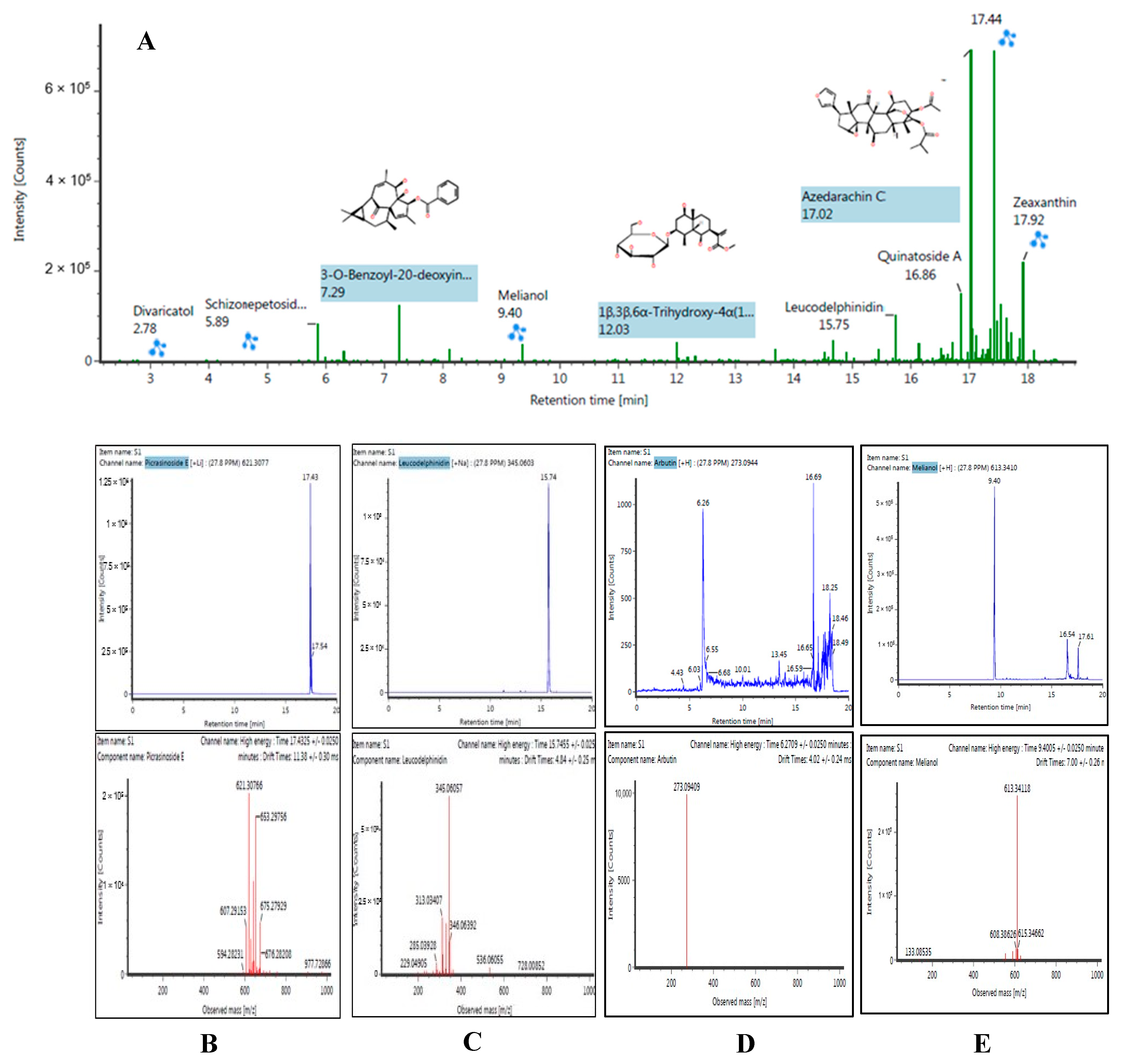 Molecules 26 04634 g005