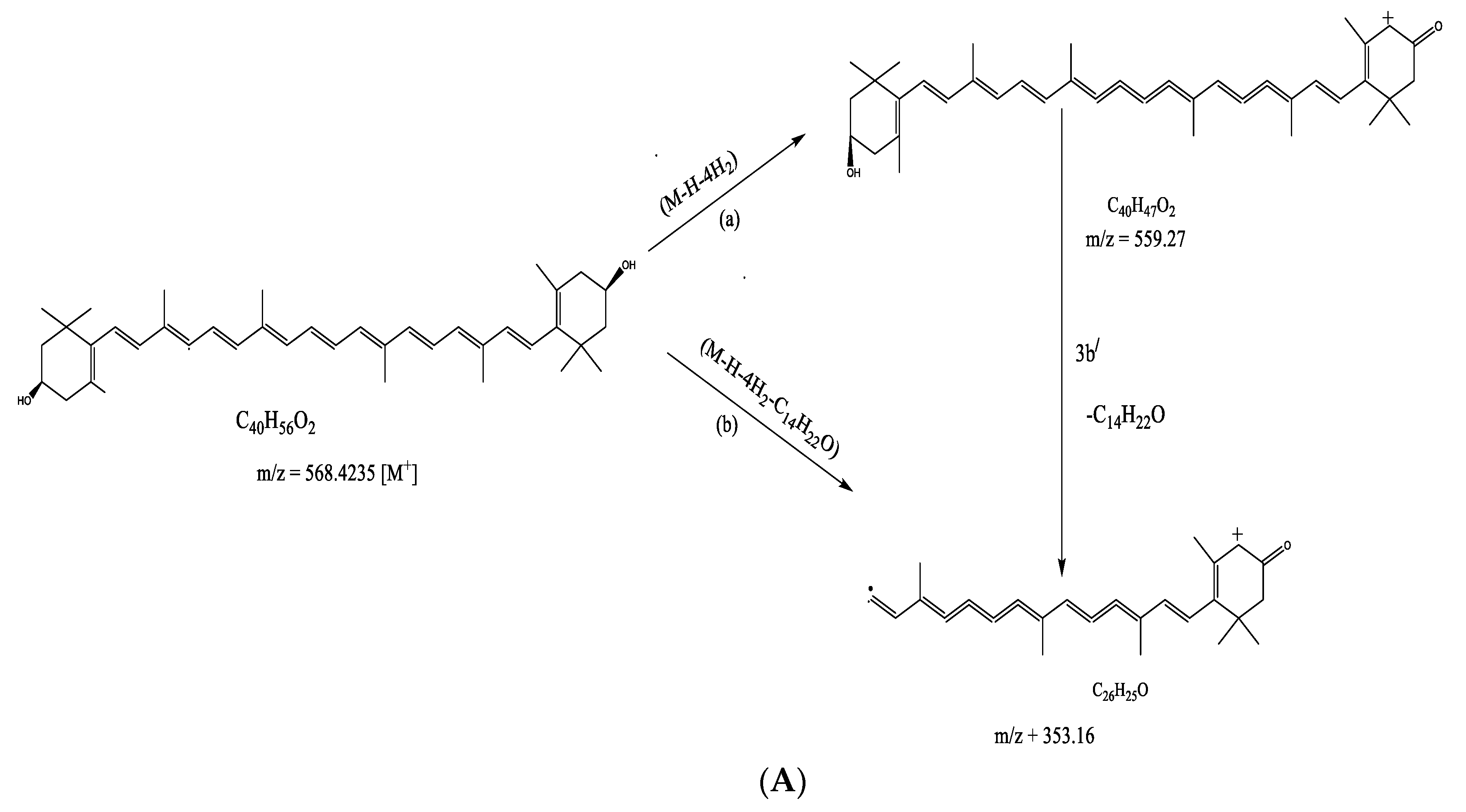 Molecules 26 04634 g006a
