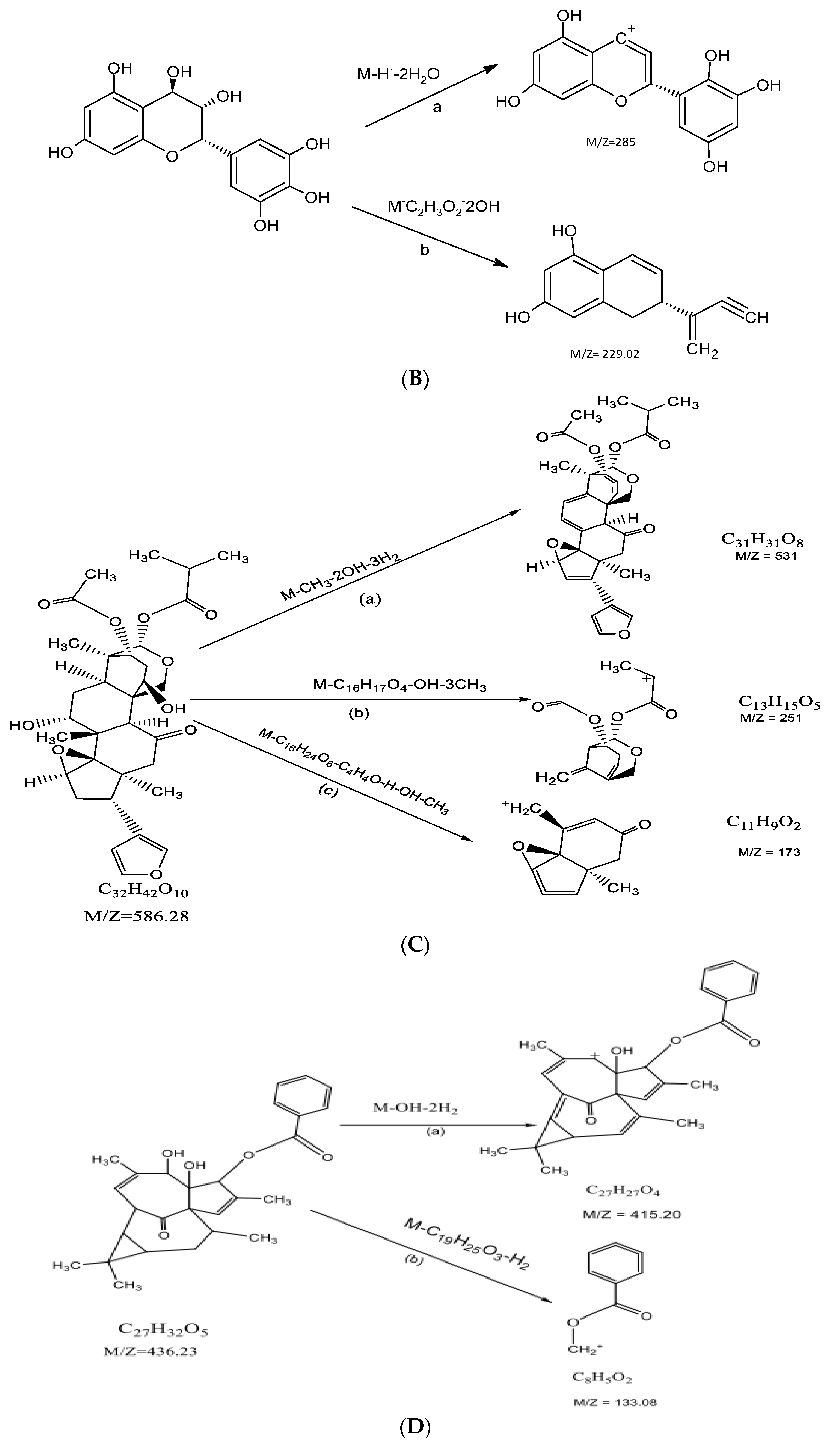 Molecules 26 04634 g006b