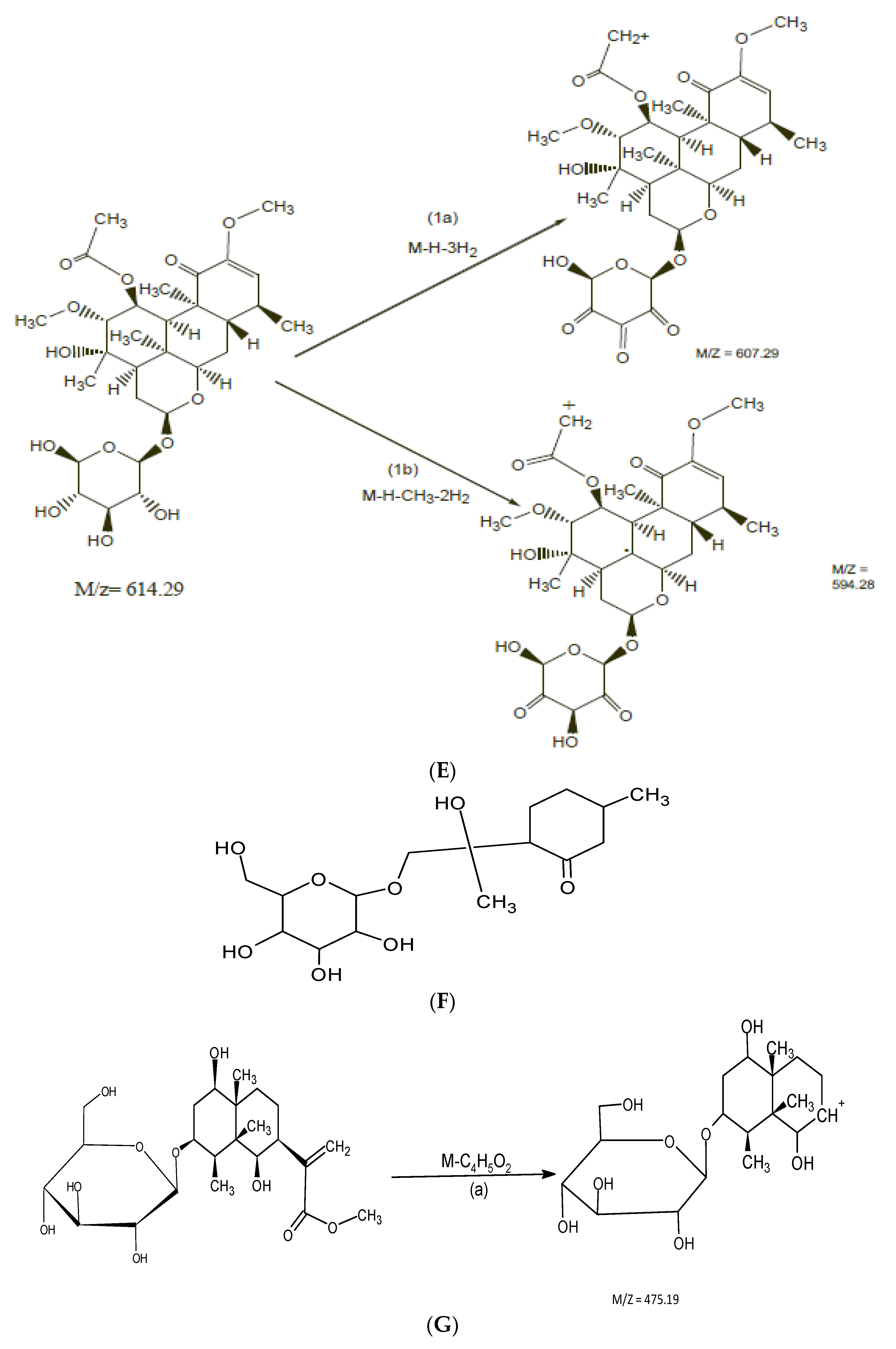 Molecules 26 04634 g006c
