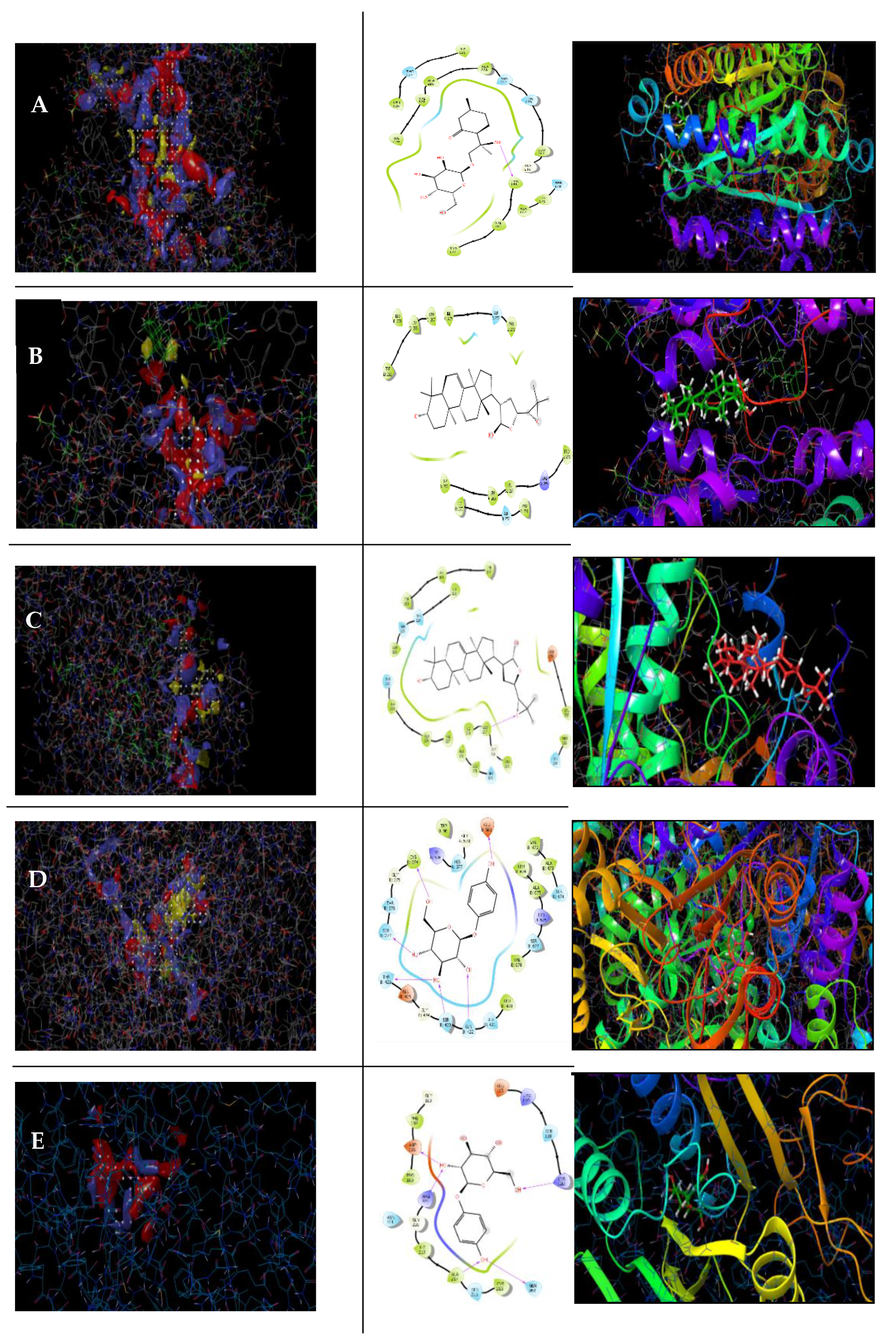 Molecules 26 04634 g007