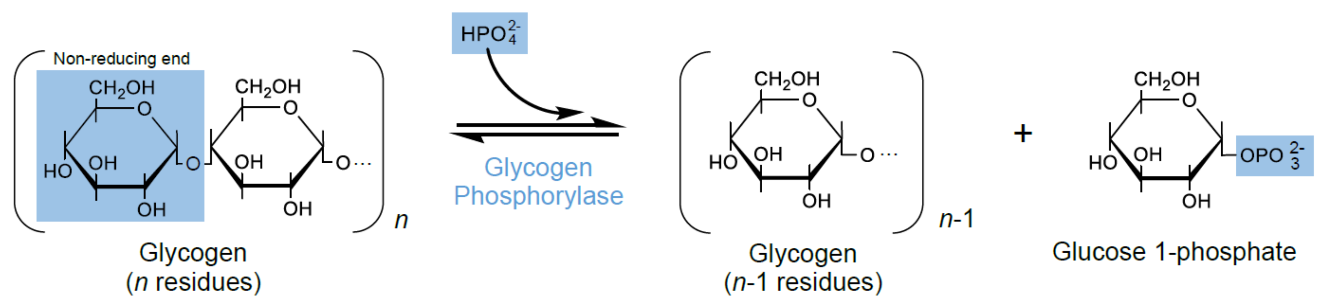 Molecules 26 04635 g001