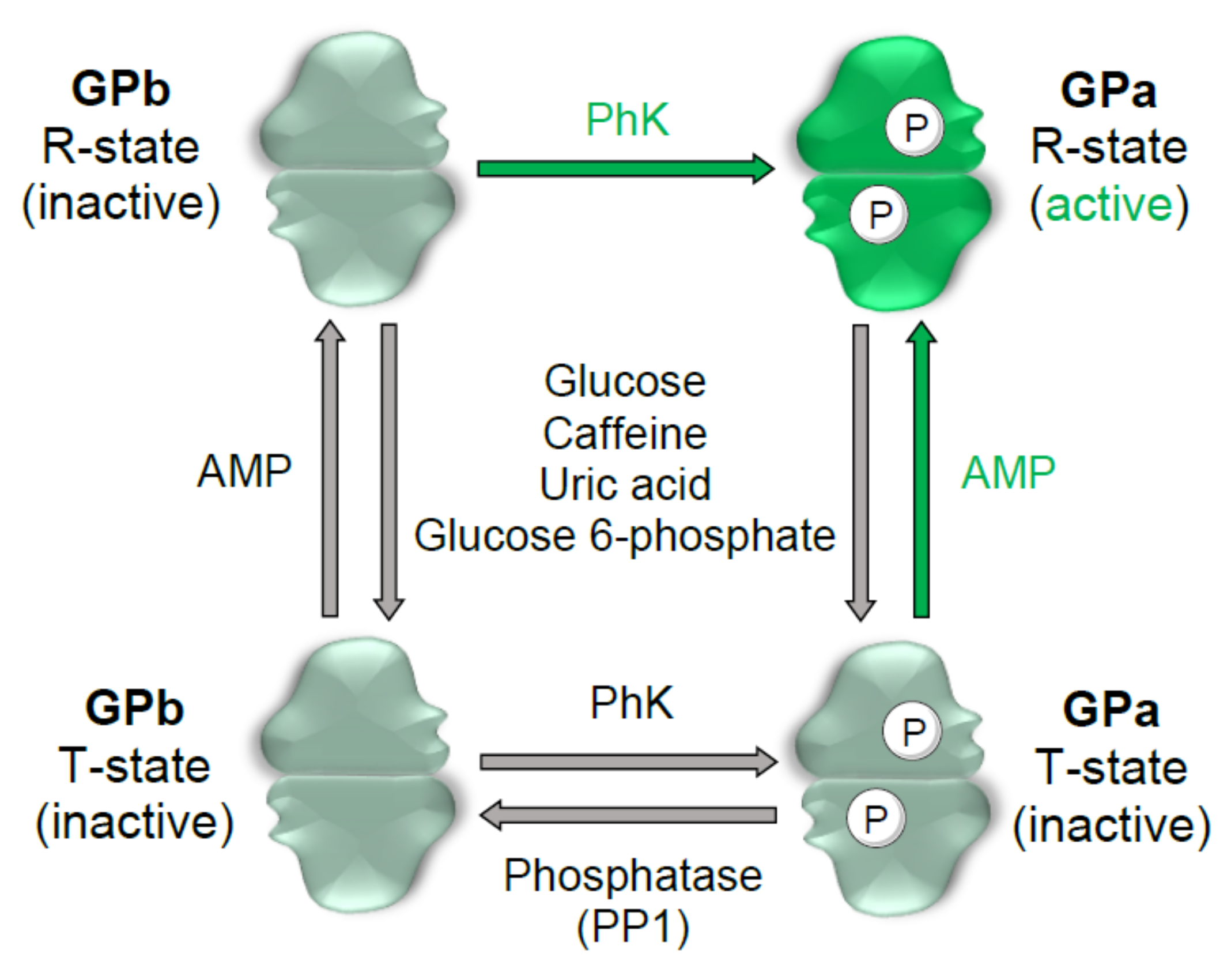 Molecules 26 04635 g002