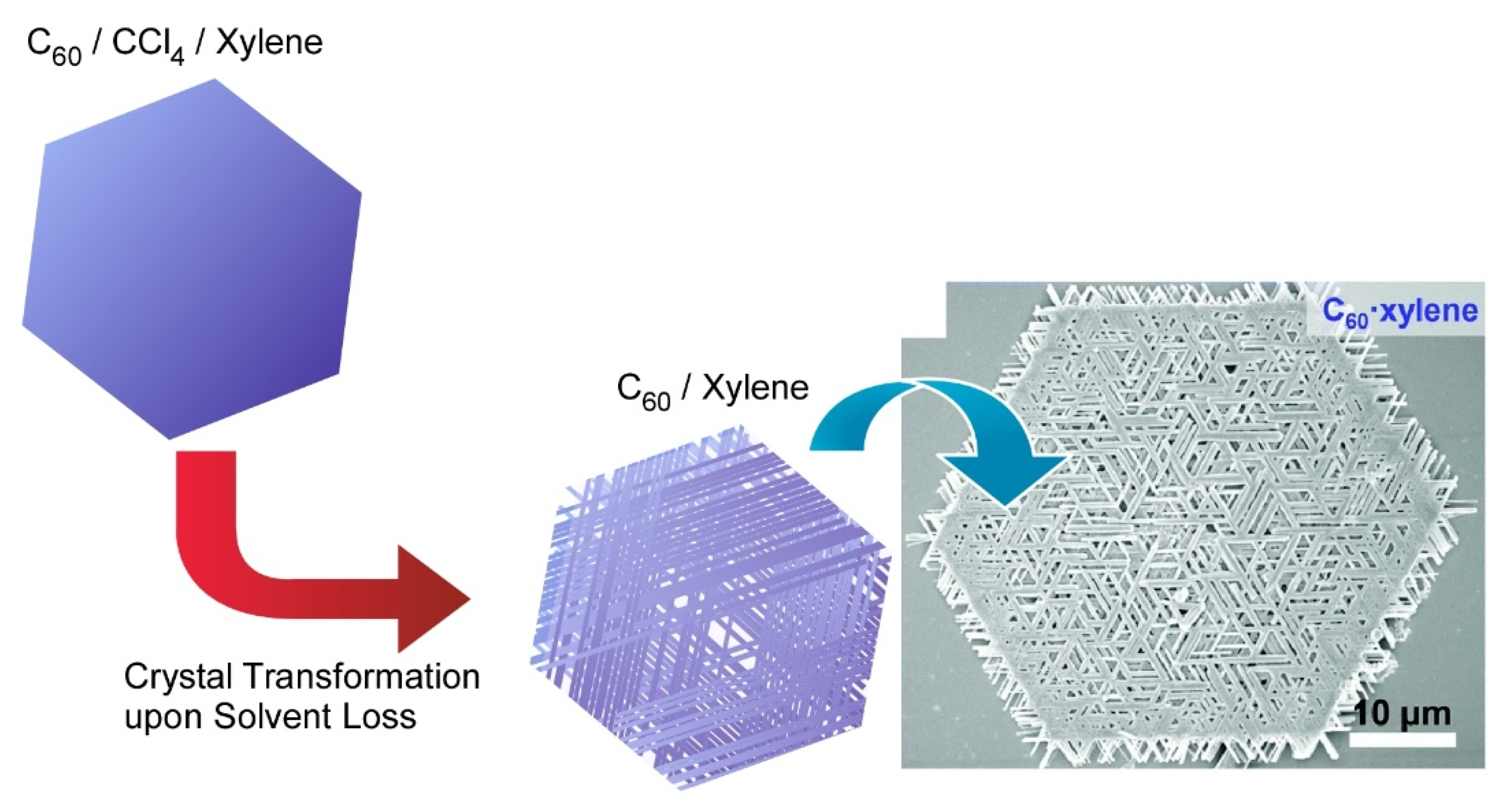 Molecules 26 04636 g004