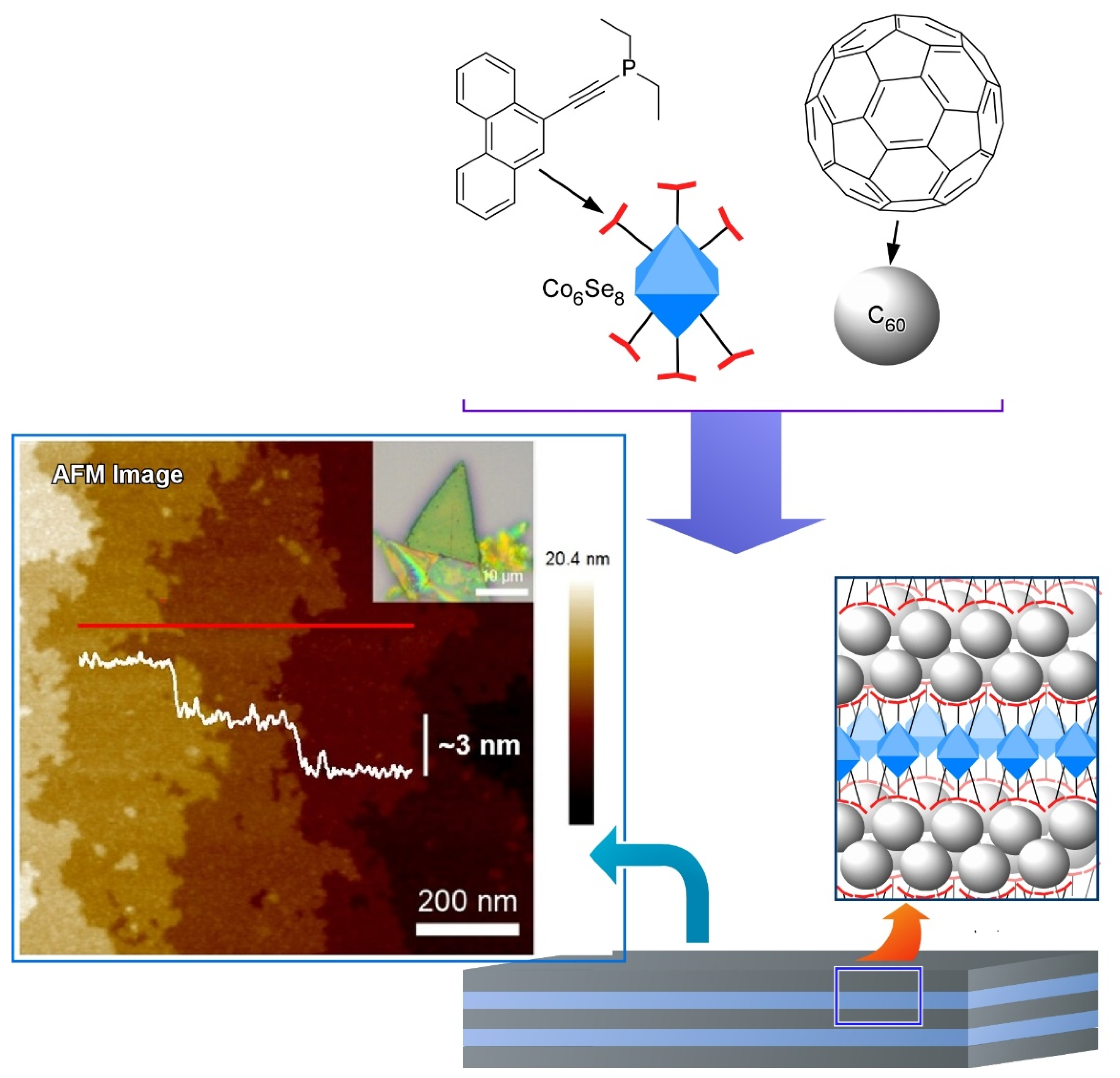 Molecules 26 04636 g005