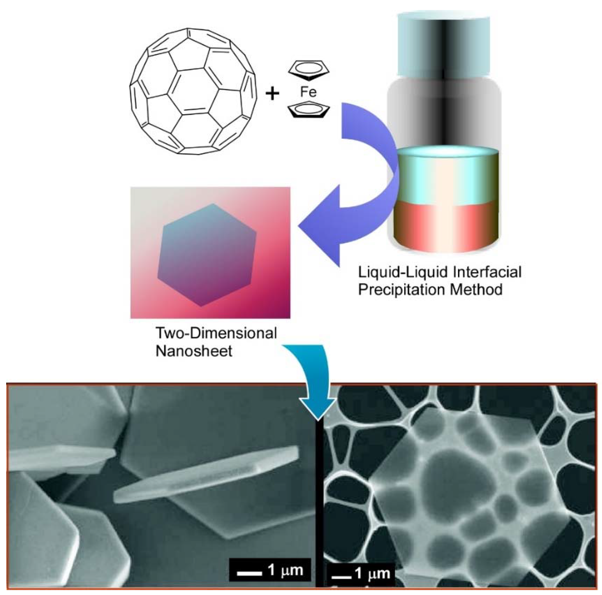 Molecules 26 04636 g007