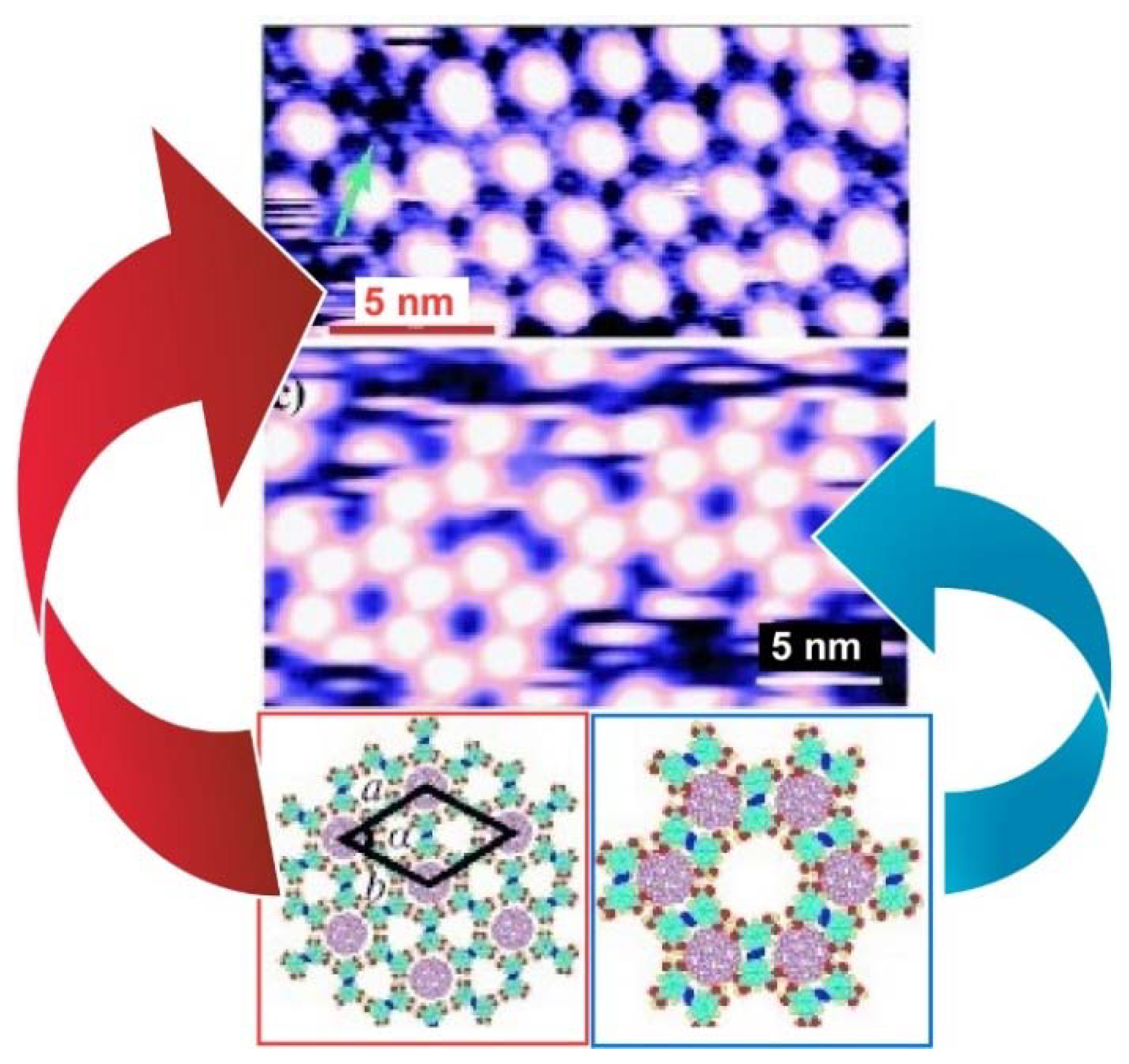 Molecules 26 04636 g008