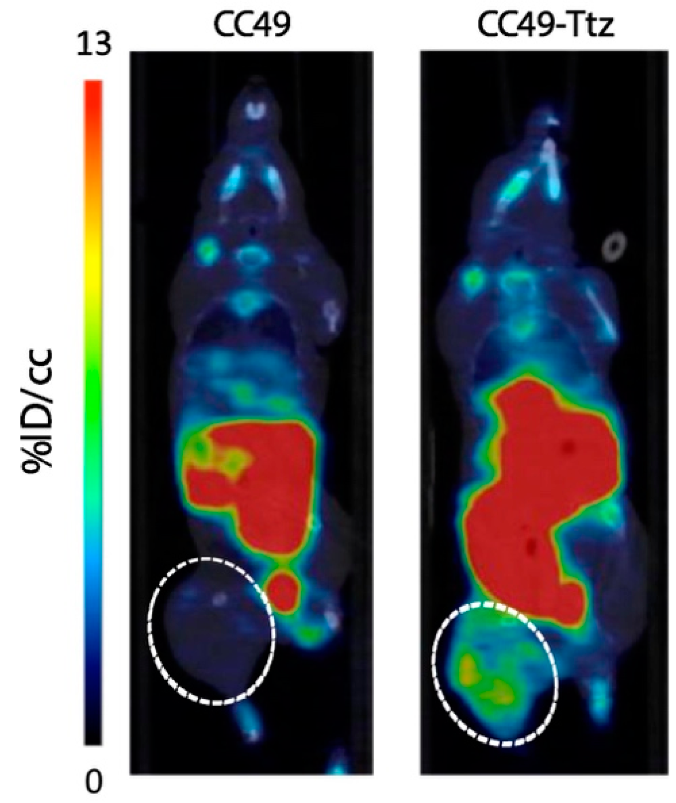 Molecules 26 04640 g005