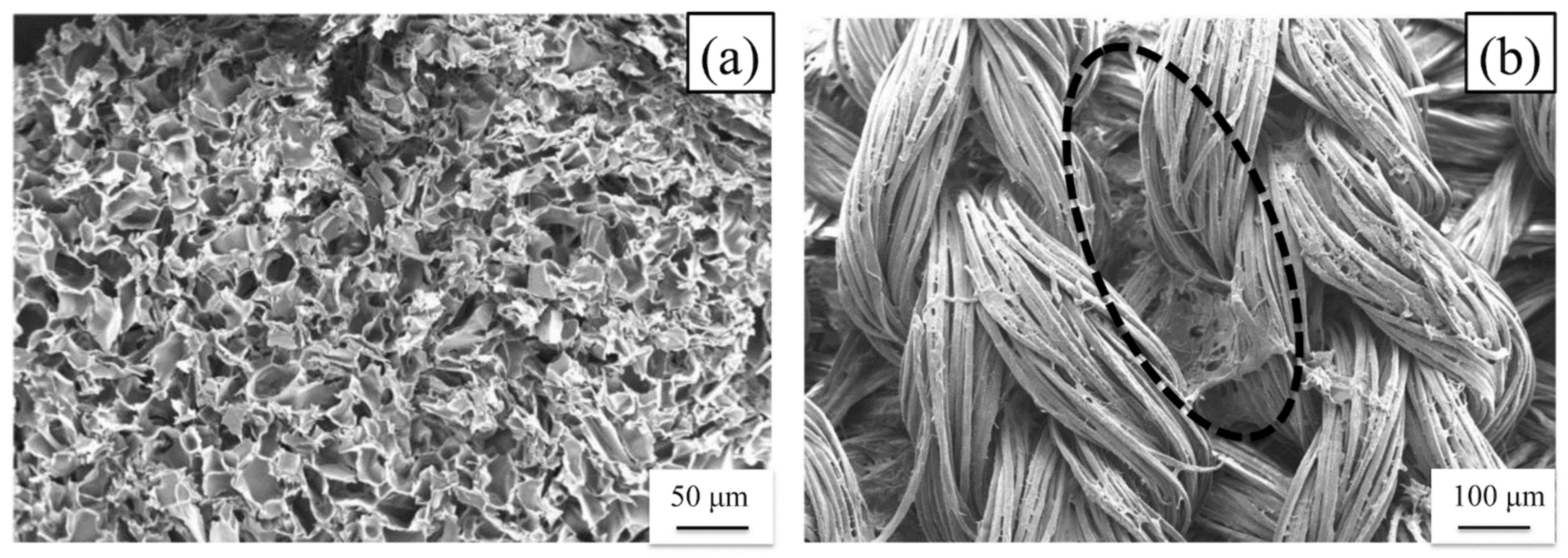 Molecules 26 04649 g007