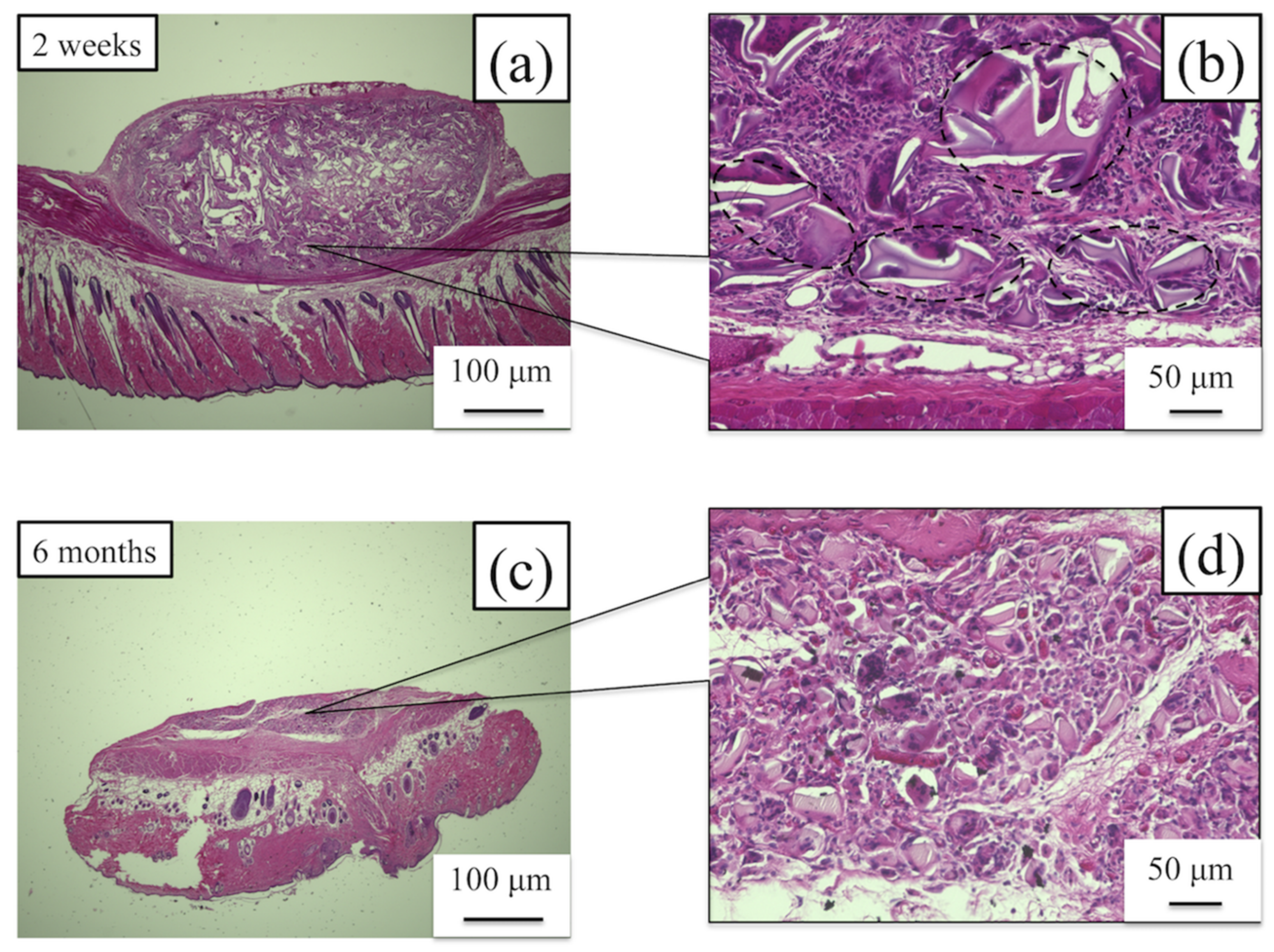 Molecules 26 04649 g010